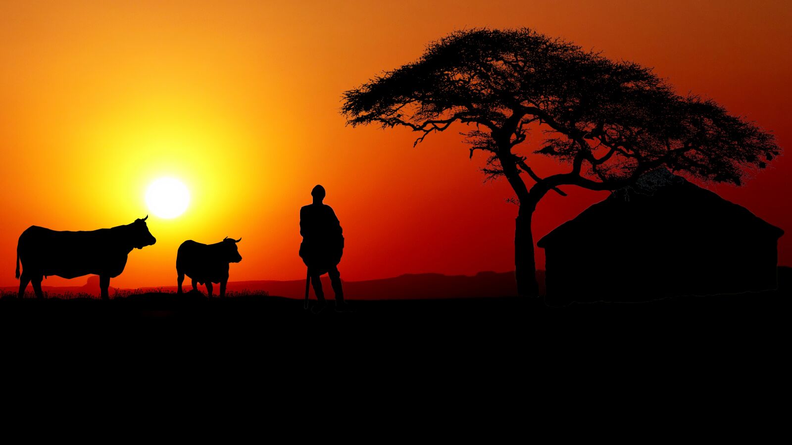 Panasonic Lumix DMC-FZ200 sample photo. Sunset, africa, herds photography