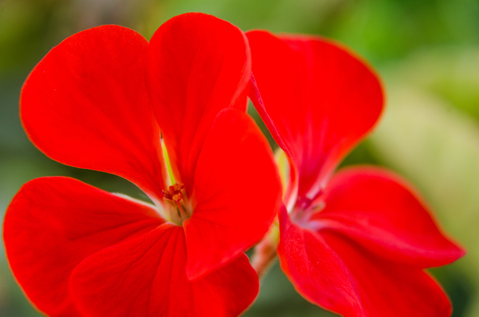 Nikon D5100 sample photo