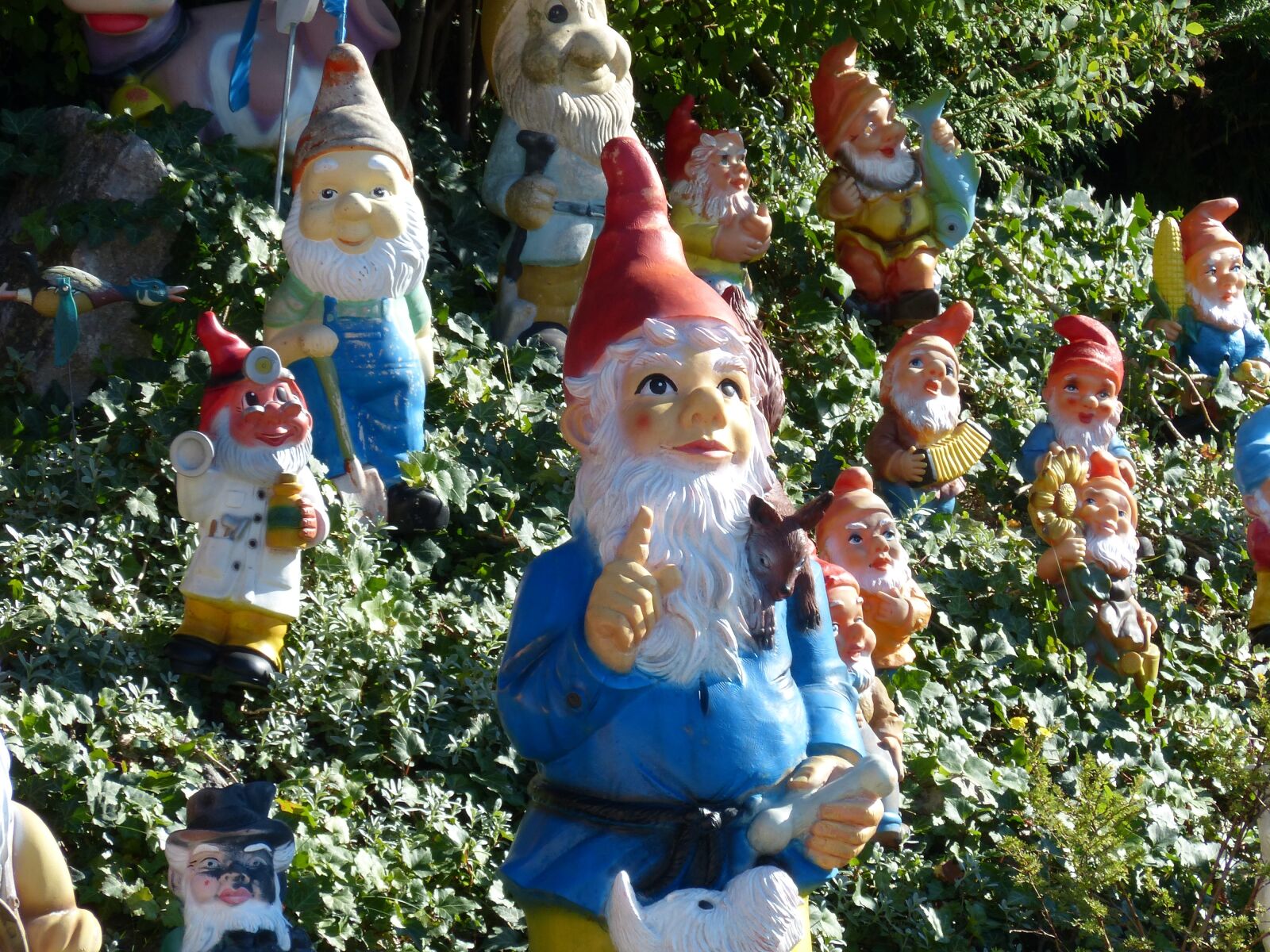 Panasonic Lumix DMC-FZ200 sample photo. Garden gnomes, forest, fairy photography