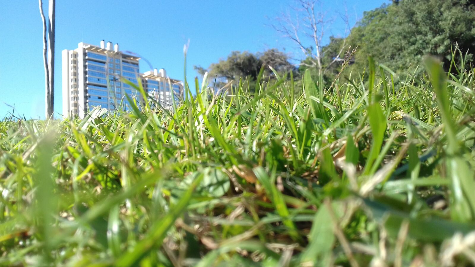 Samsung Galaxy J3(2016) sample photo
