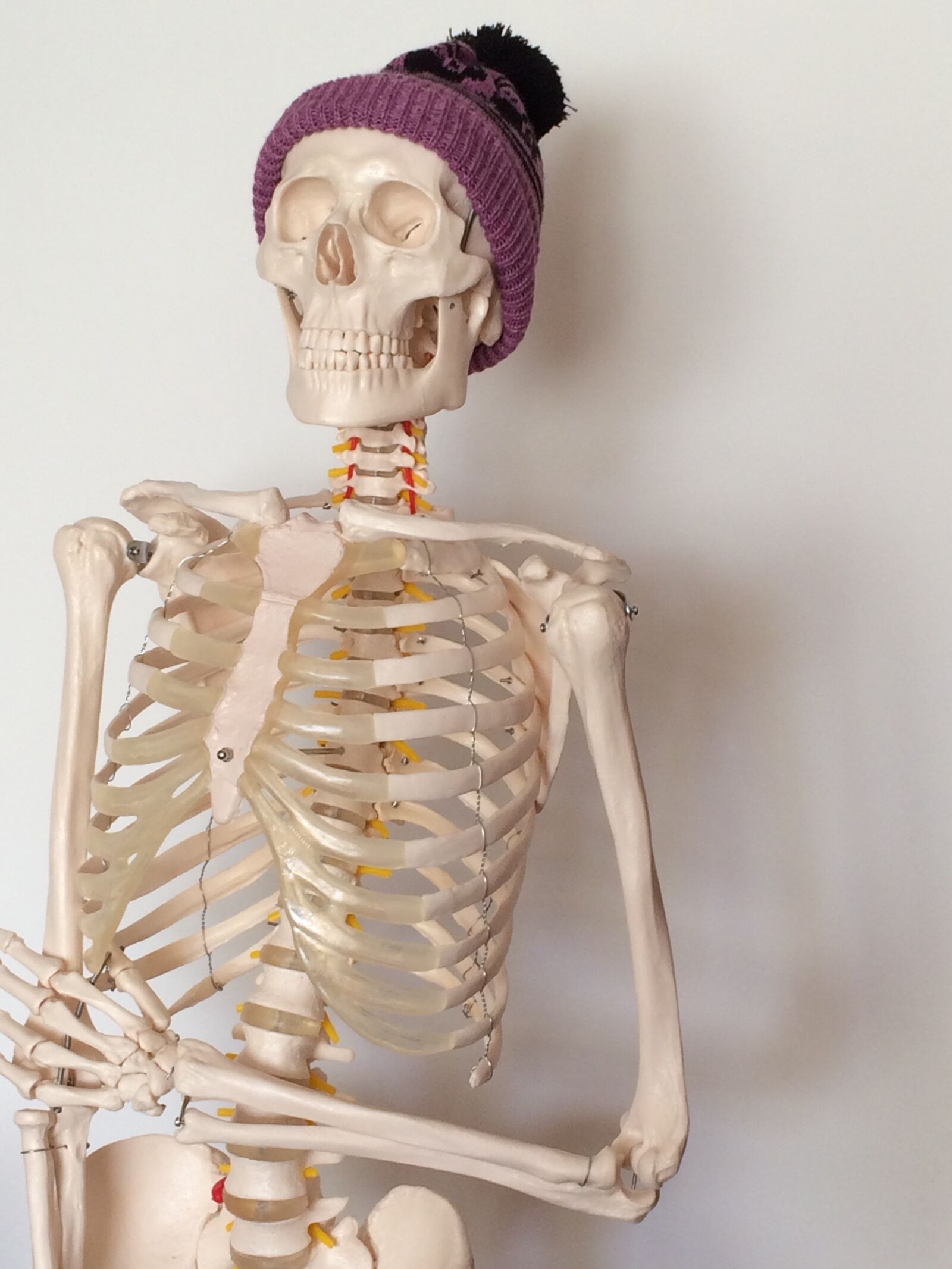 iPhone 5s back camera 4.15mm f/2.2 sample photo. Skeleton, purple bobble hat photography
