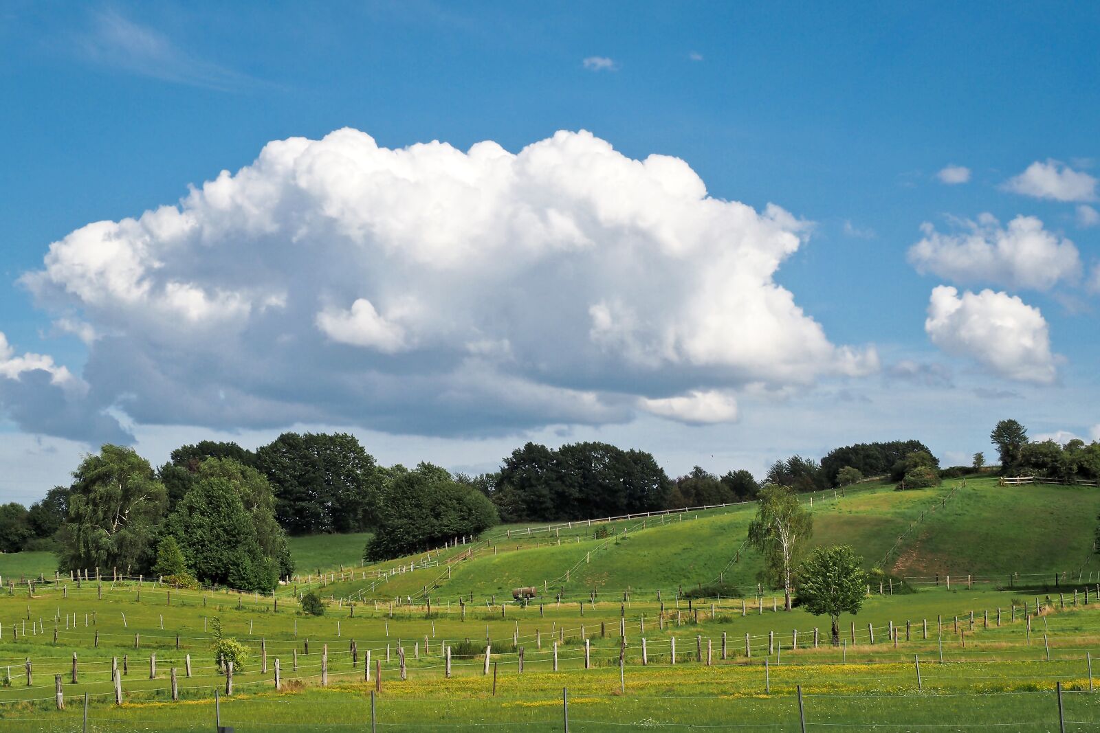 Olympus OM-D E-M10 sample photo. Landscape, field, nature photography