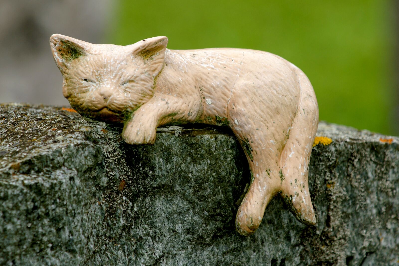 Sony Alpha DSLR-A700 sample photo. Cat, decoration, statue photography