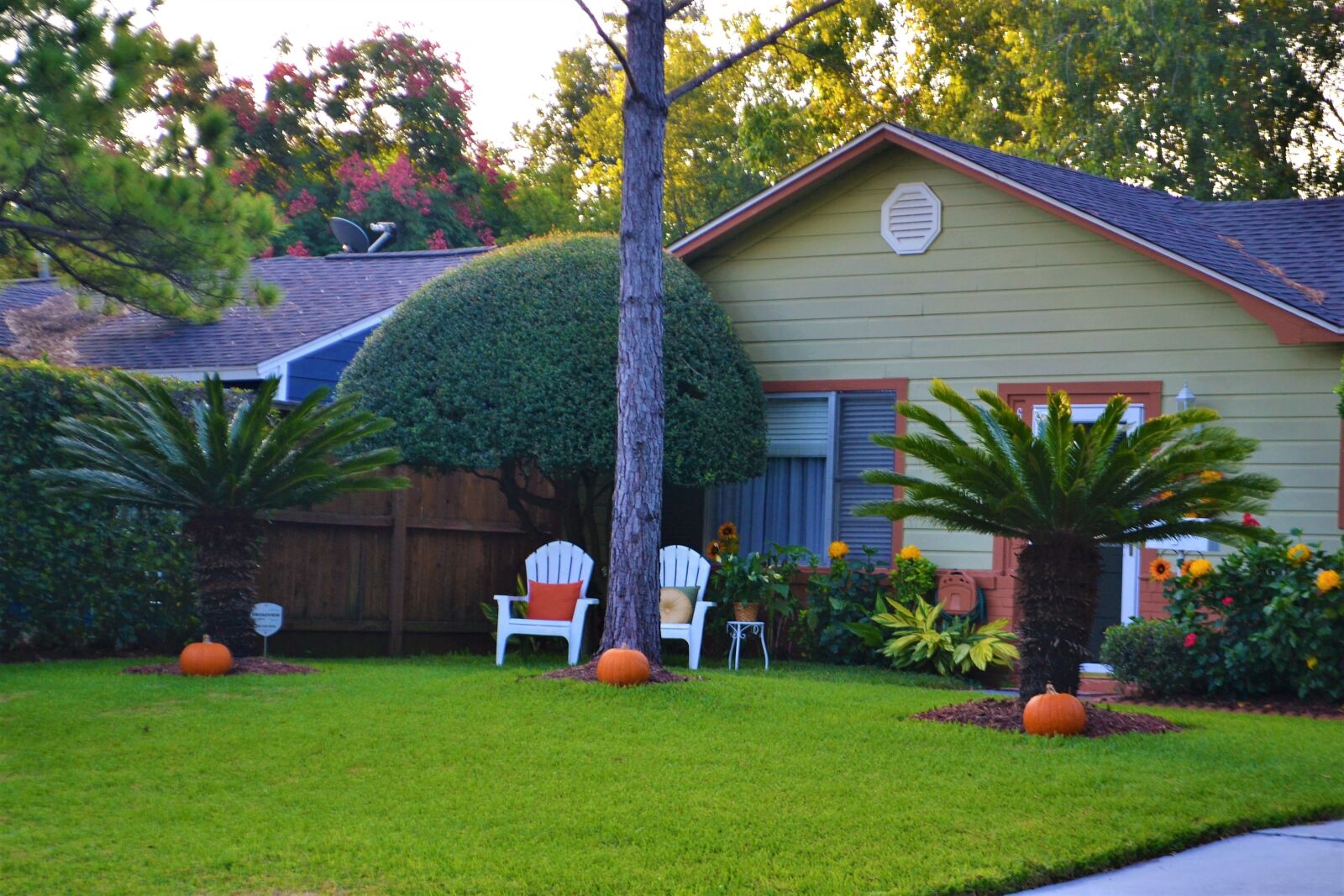 Nikon D3100 sample photo. Family house, pumpkins, halloween photography