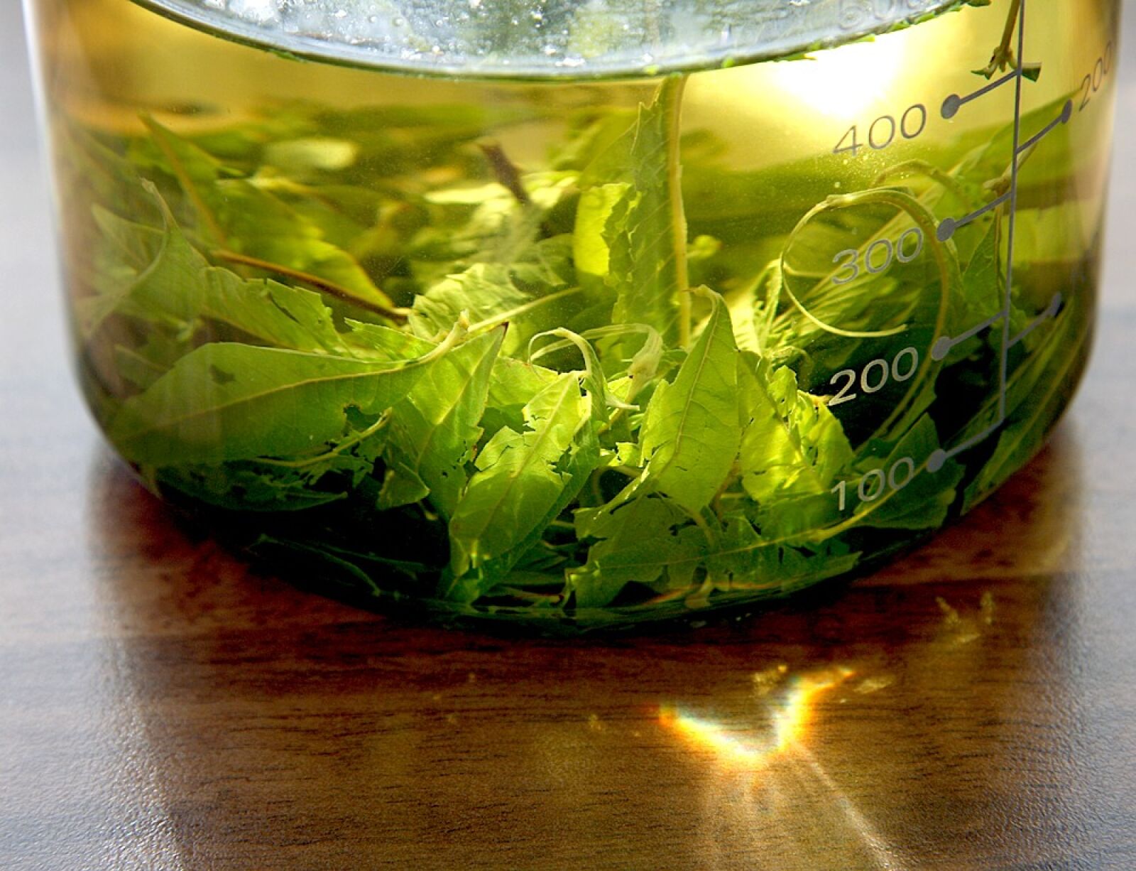 Canon EOS 40D sample photo. Tee, lemon verbena tea photography