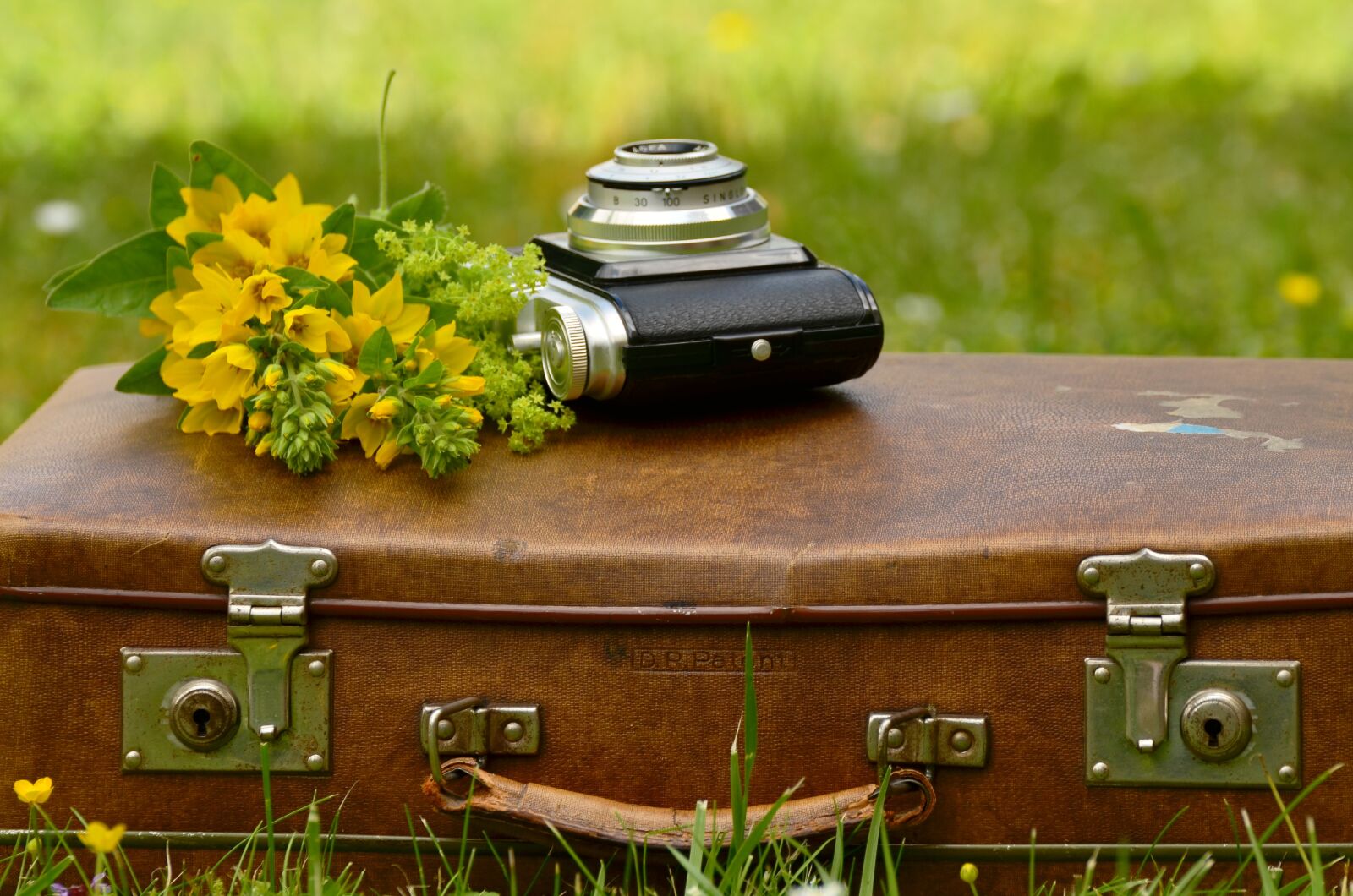 Nikon D5100 sample photo. Luggage, leather suitcase, old photography