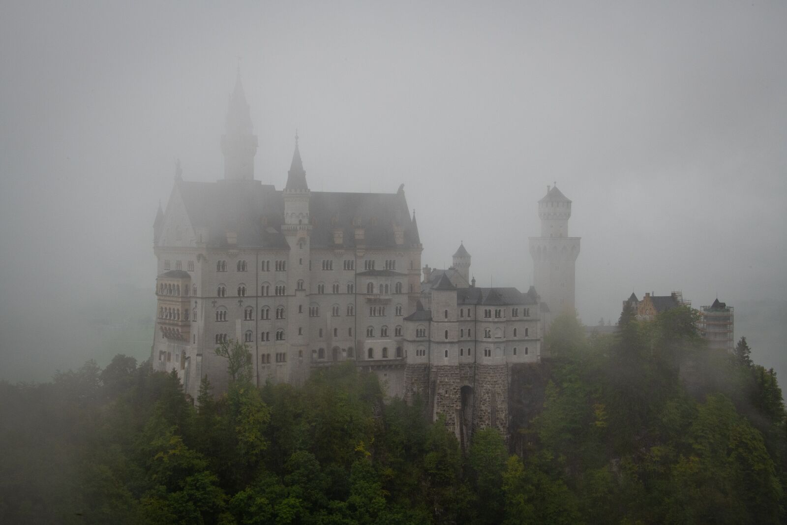Nikon D850 sample photo. Neuschwanstein castle, castle, bavaria photography