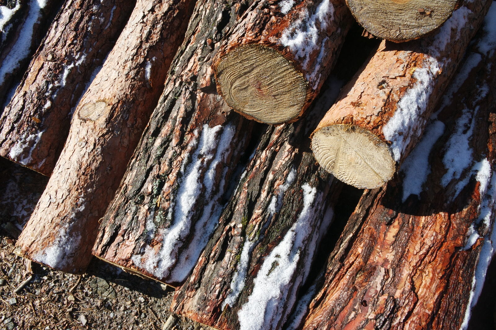 Samsung NX mini sample photo. Plank, snow, winter, wood photography