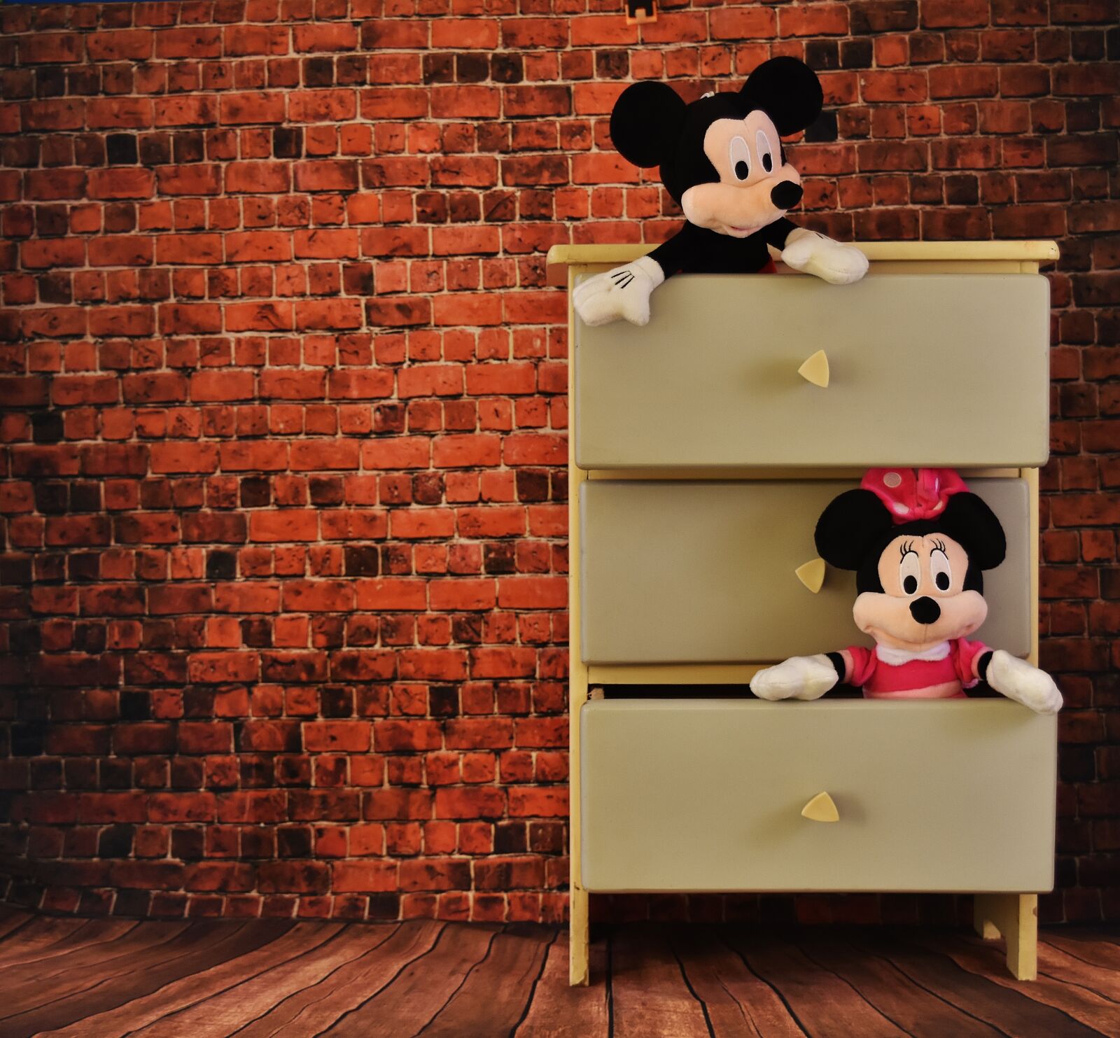 Nikon D7200 sample photo. Micky mouse, minnie, chest photography
