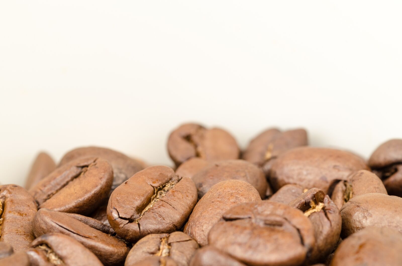 Nikon D5100 sample photo. Coffee, brown, caffeine photography