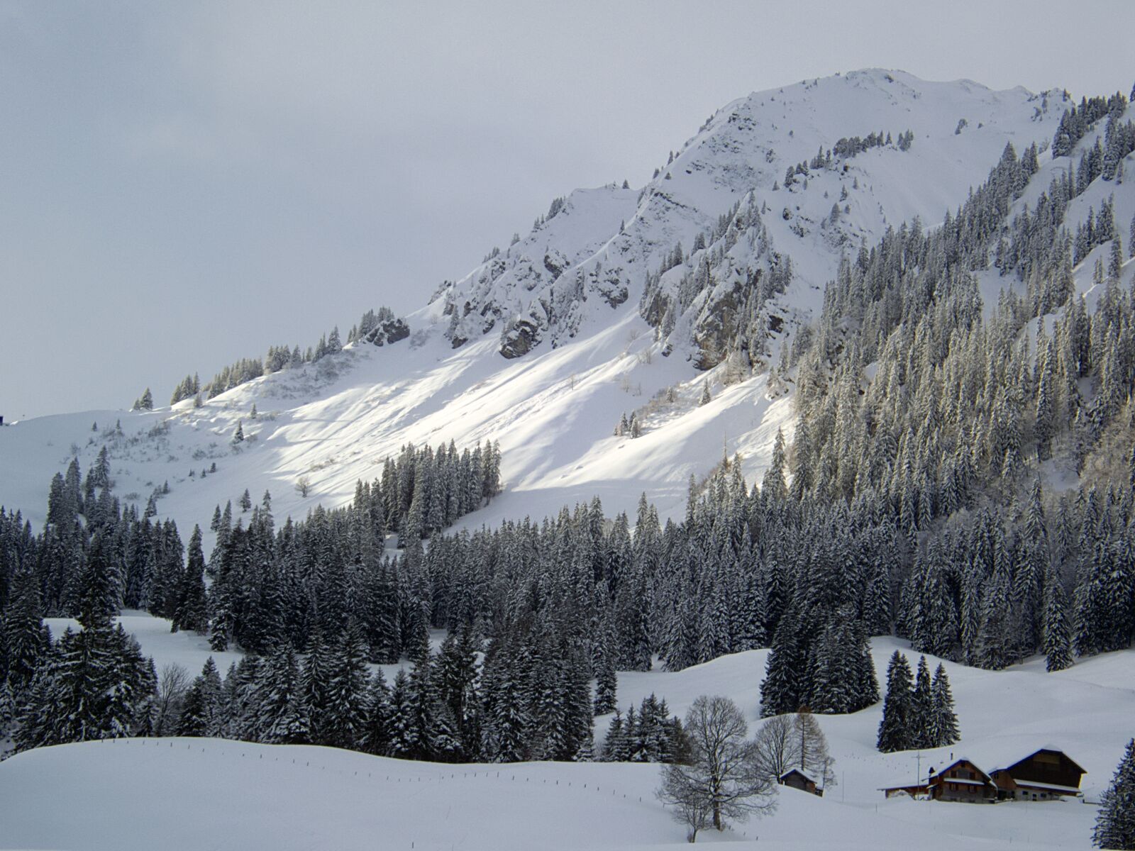 Olympus TG-5 sample photo. Wintry, mountain, switzerland photography