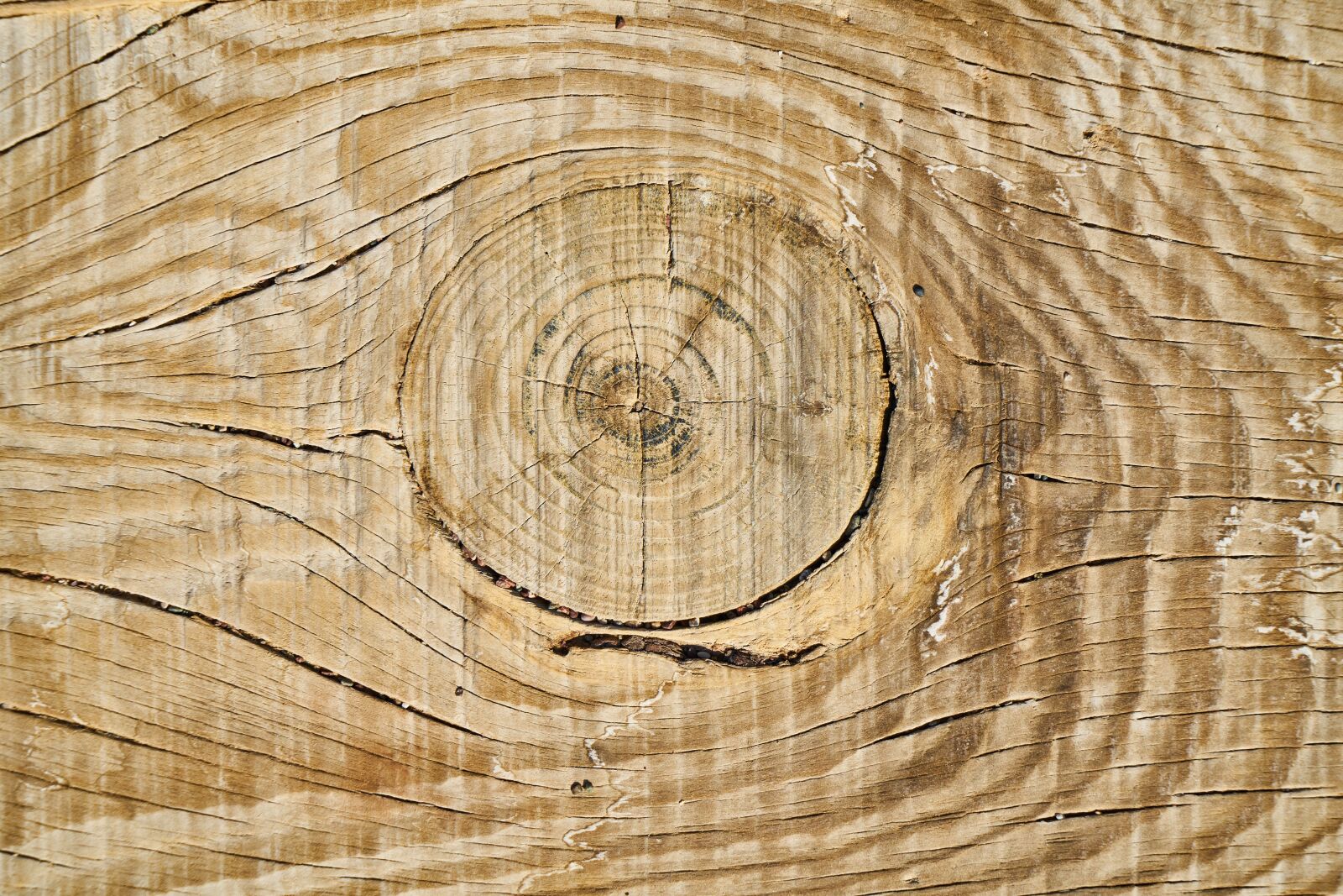 Sony a7R II sample photo. Wood-fibre boards, timber, wood photography