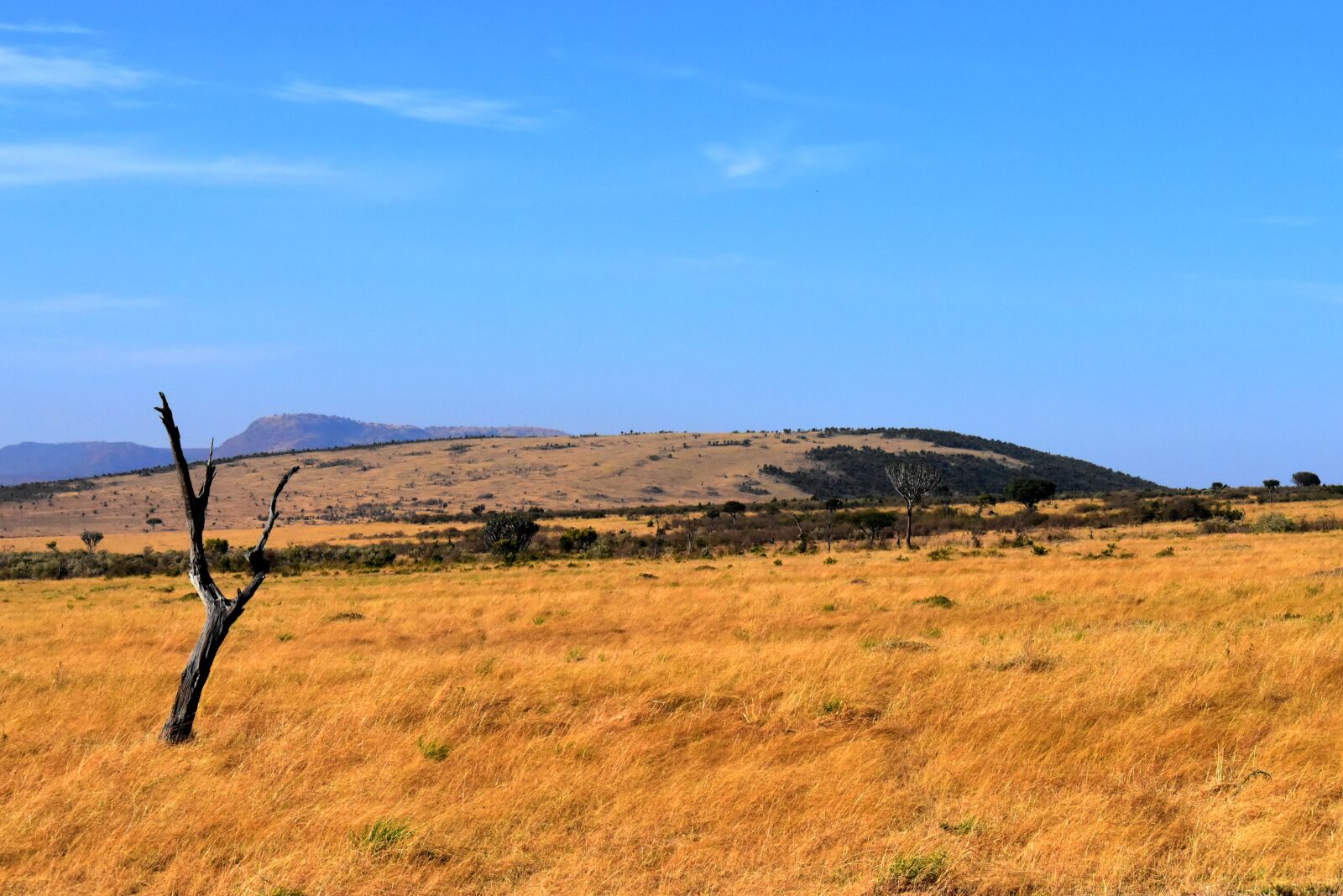 Nikon D5500 sample photo. Savannah, africa, tanzania photography