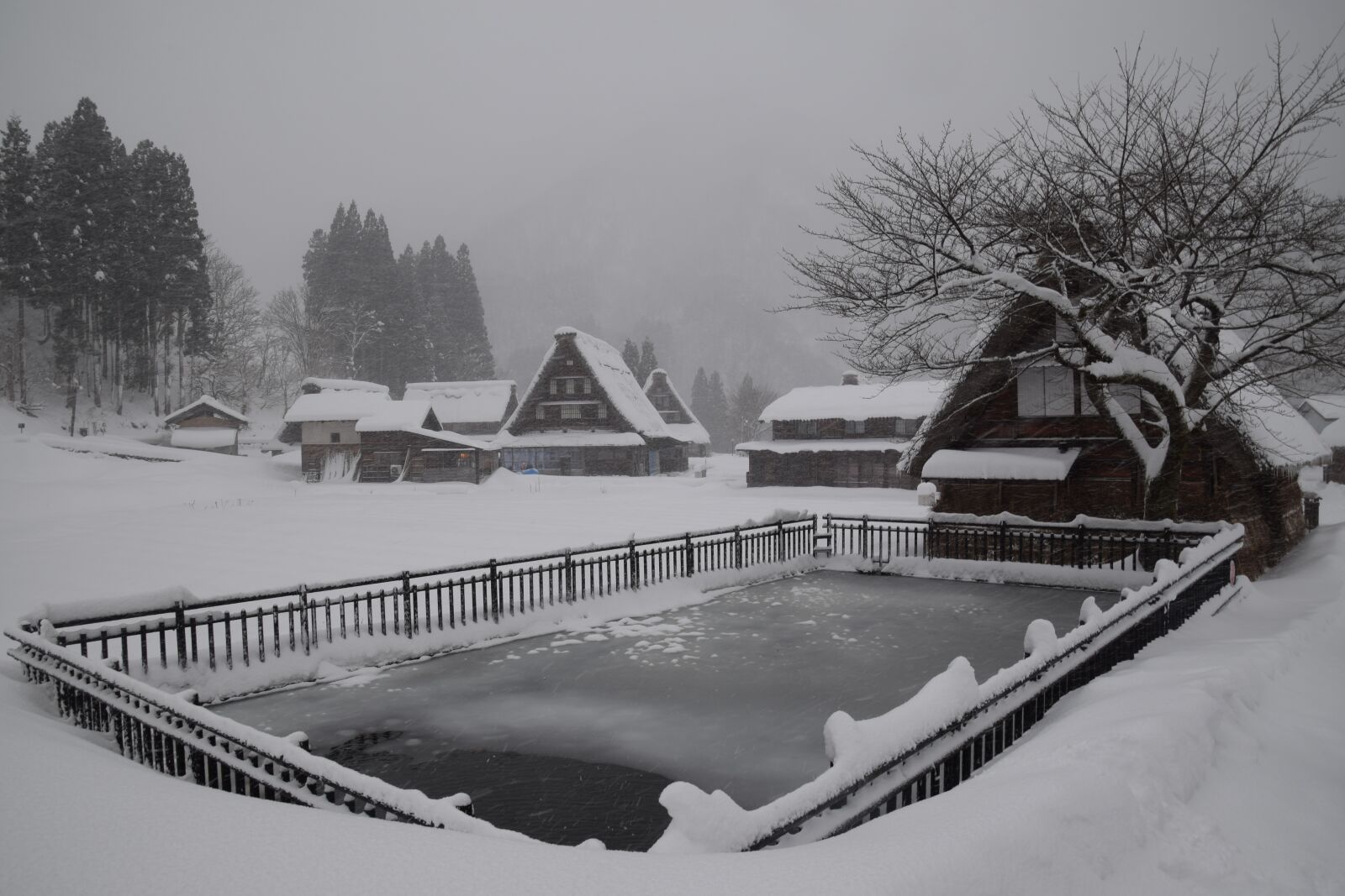 Nikon D5300 sample photo. Frozen, tsuganuma village, winter photography