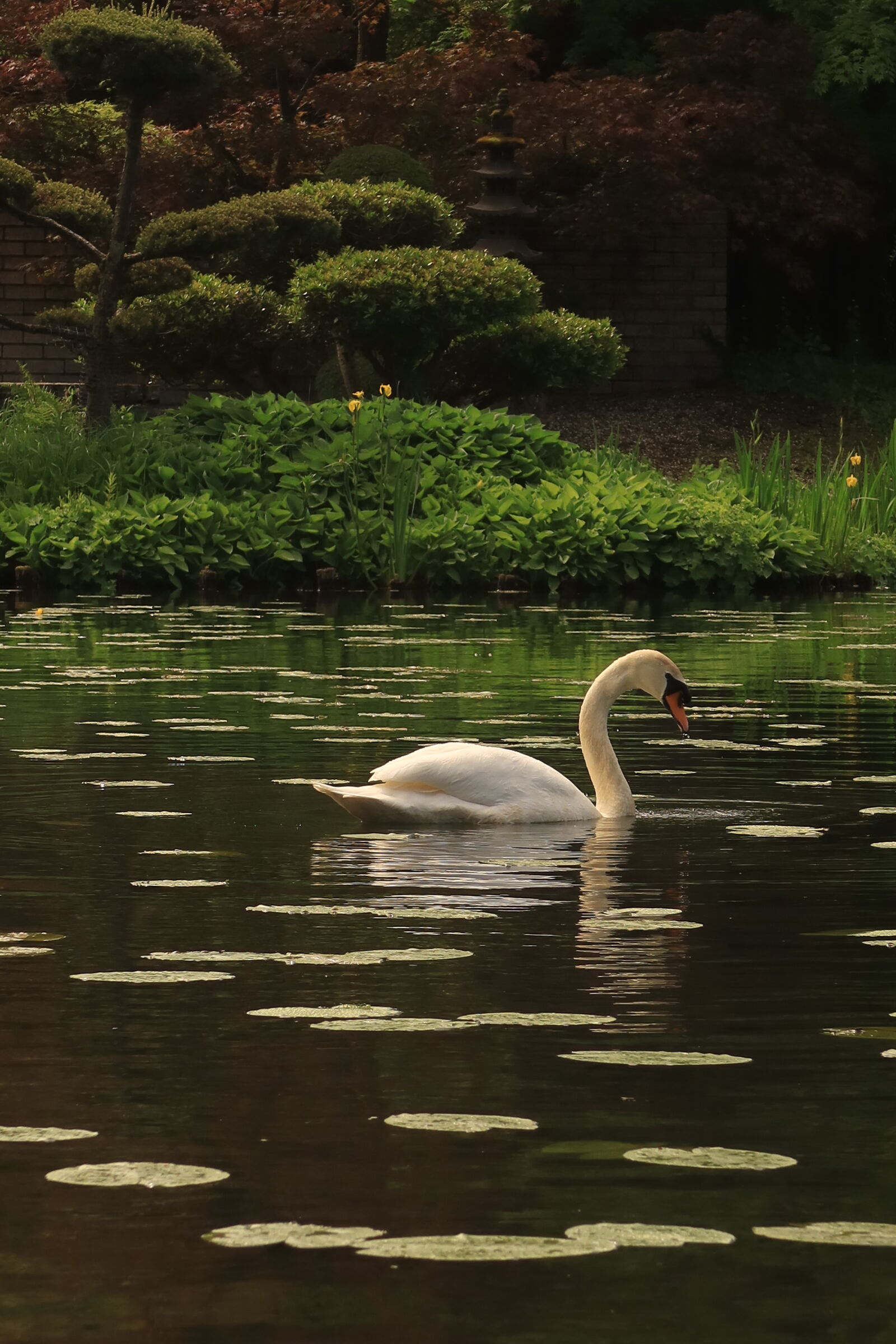 Canon PowerShot G7 X Mark III sample photo