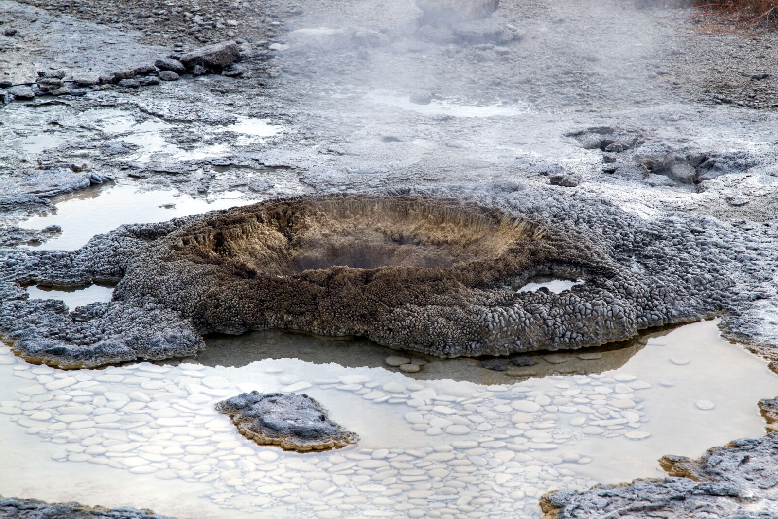 Canon EOS 7D sample photo. Yellowstone national park, wyoming photography