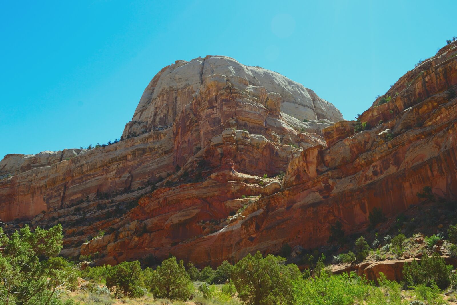 Nikon D3100 sample photo. Capitol reef, sandstone, national photography