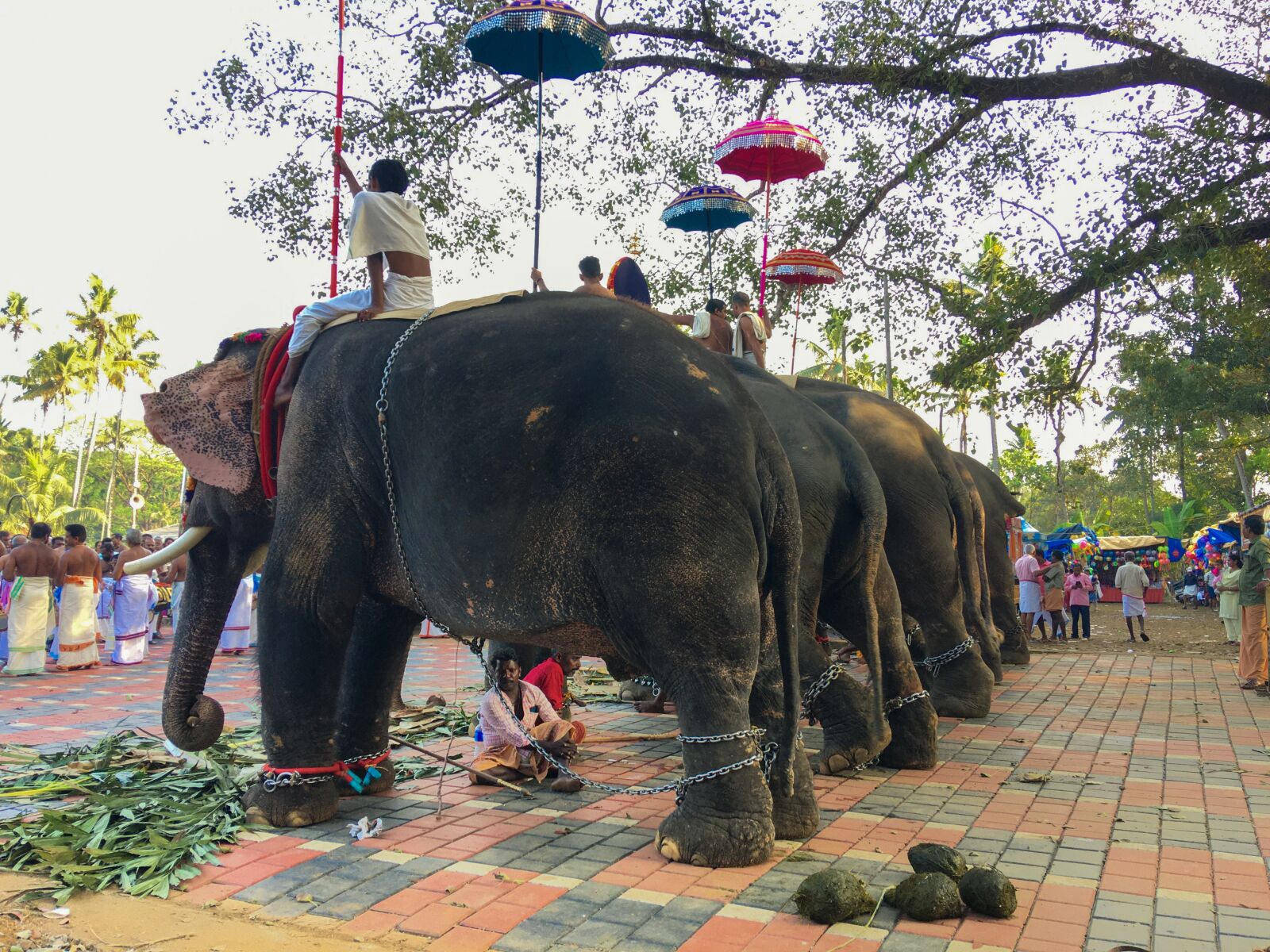 iPhone 6s Plus back camera 4.15mm f/2.2 sample photo. Temple festival in kerala photography