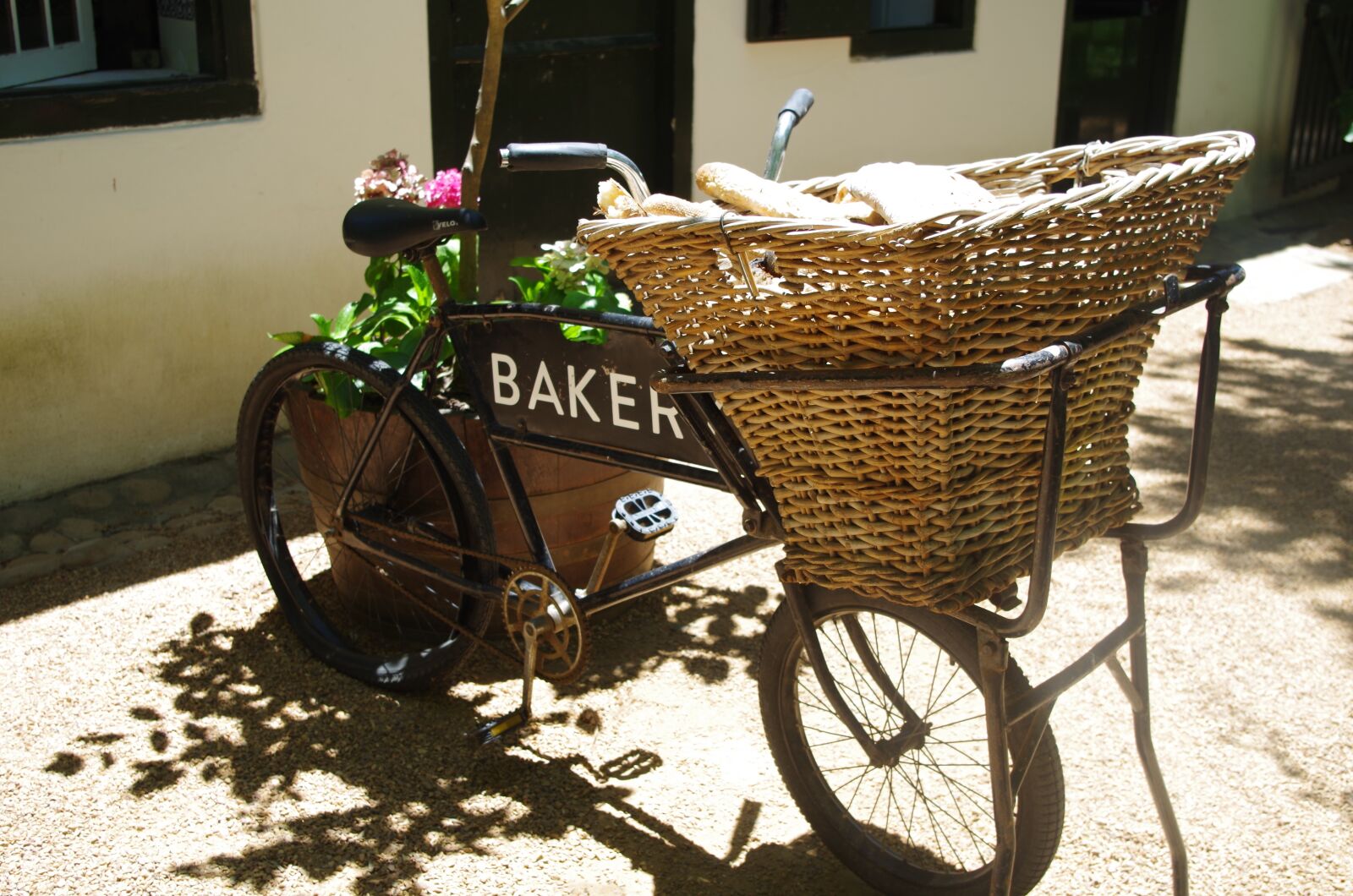 Pentax K-30 sample photo. Vintage, delivery bike, bicycle photography