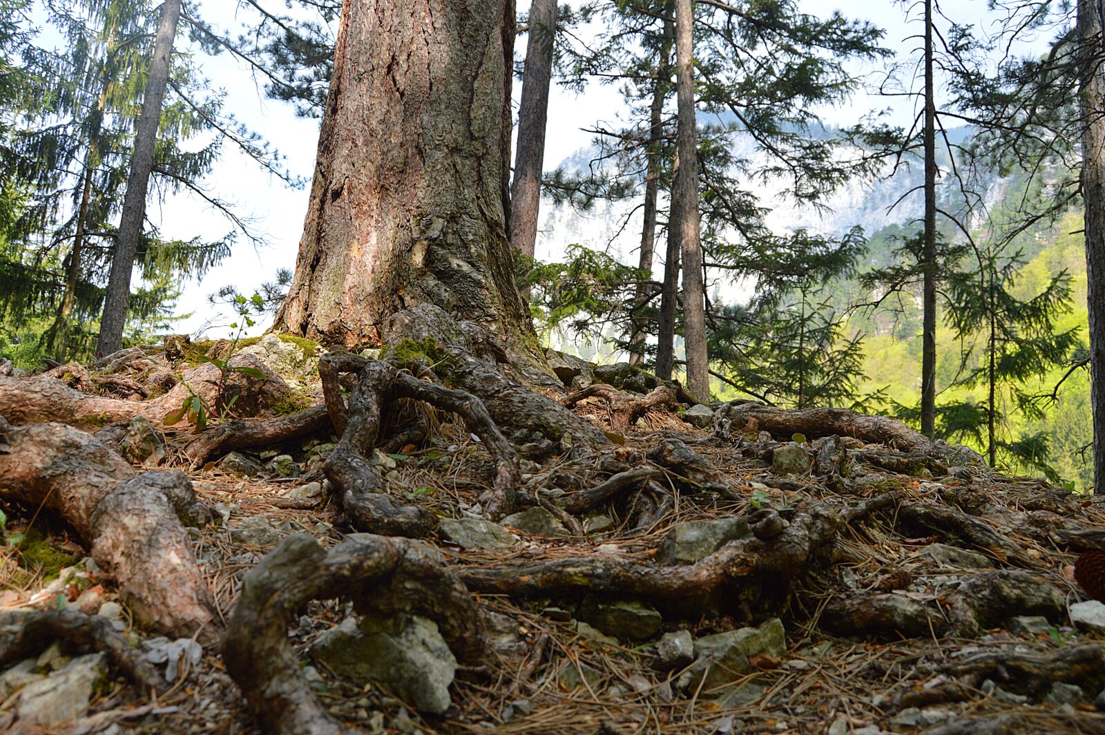 Nikon D3200 sample photo. Snow mountain, rax, lower photography