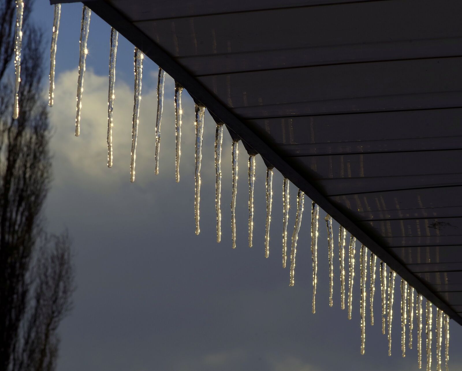 Pentax K-S2 sample photo. Icicle, frost, winter photography