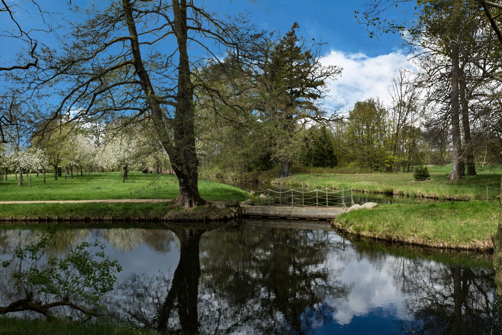 Sony SLT-A77 + Sony DT 16-50mm F2.8 SSM sample photo. Park, w rlitz, park photography