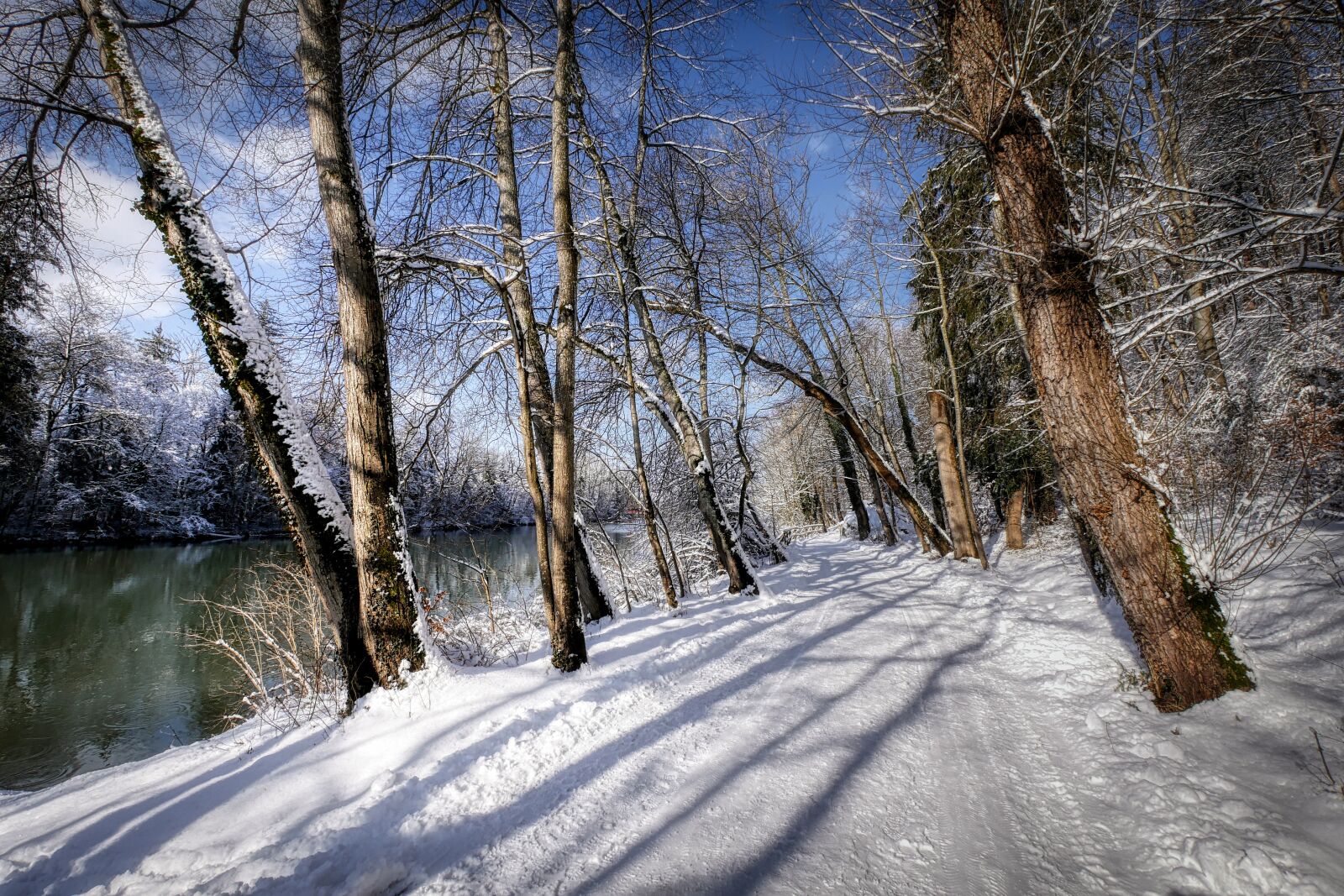 Panasonic Lumix DMC-GX8 sample photo. Winter, snow, nature photography