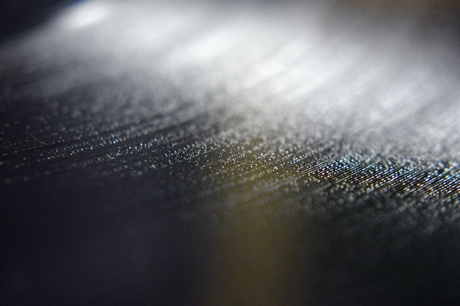 Nikon D3400 sample photo. Macro, closeup, features photography