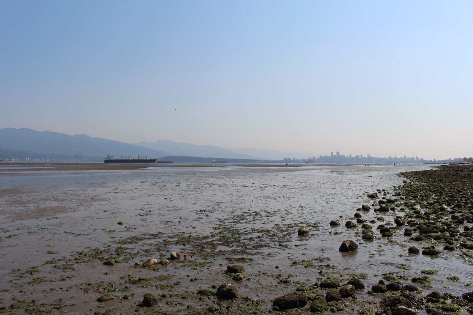Canon EOS 700D (EOS Rebel T5i / EOS Kiss X7i) sample photo. Ocean, vancouver, spanish banks photography