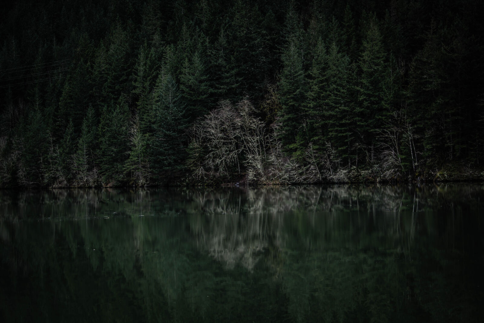 Nikon D5200 sample photo. Dark, dawn, environment, evening photography