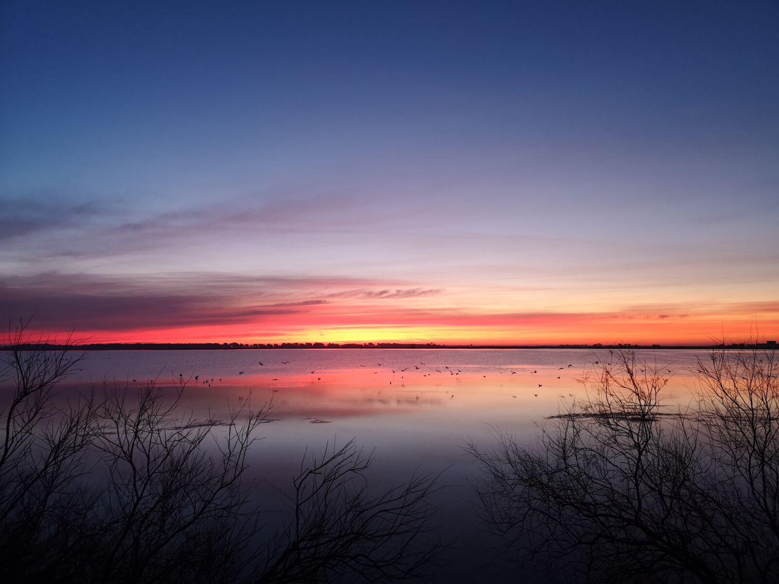 HUAWEI CLT-L09 sample photo. Sunrise, morning, leverdesoleil photography
