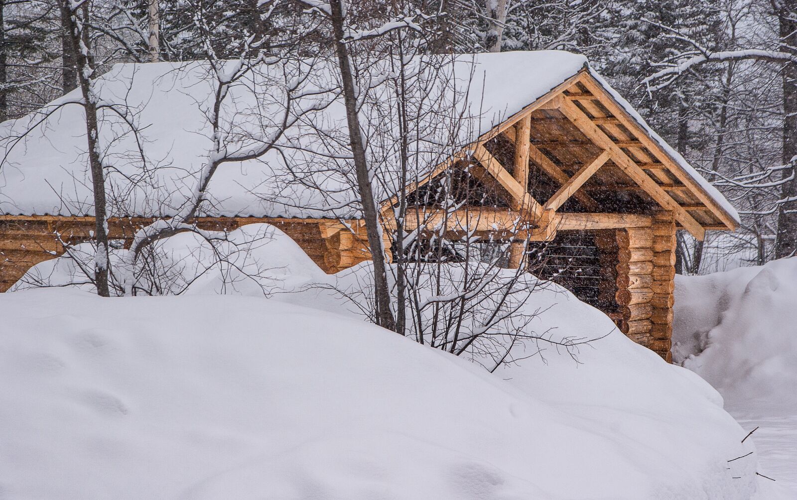 Pentax K10D sample photo. Wooden house, logs, snowfall photography