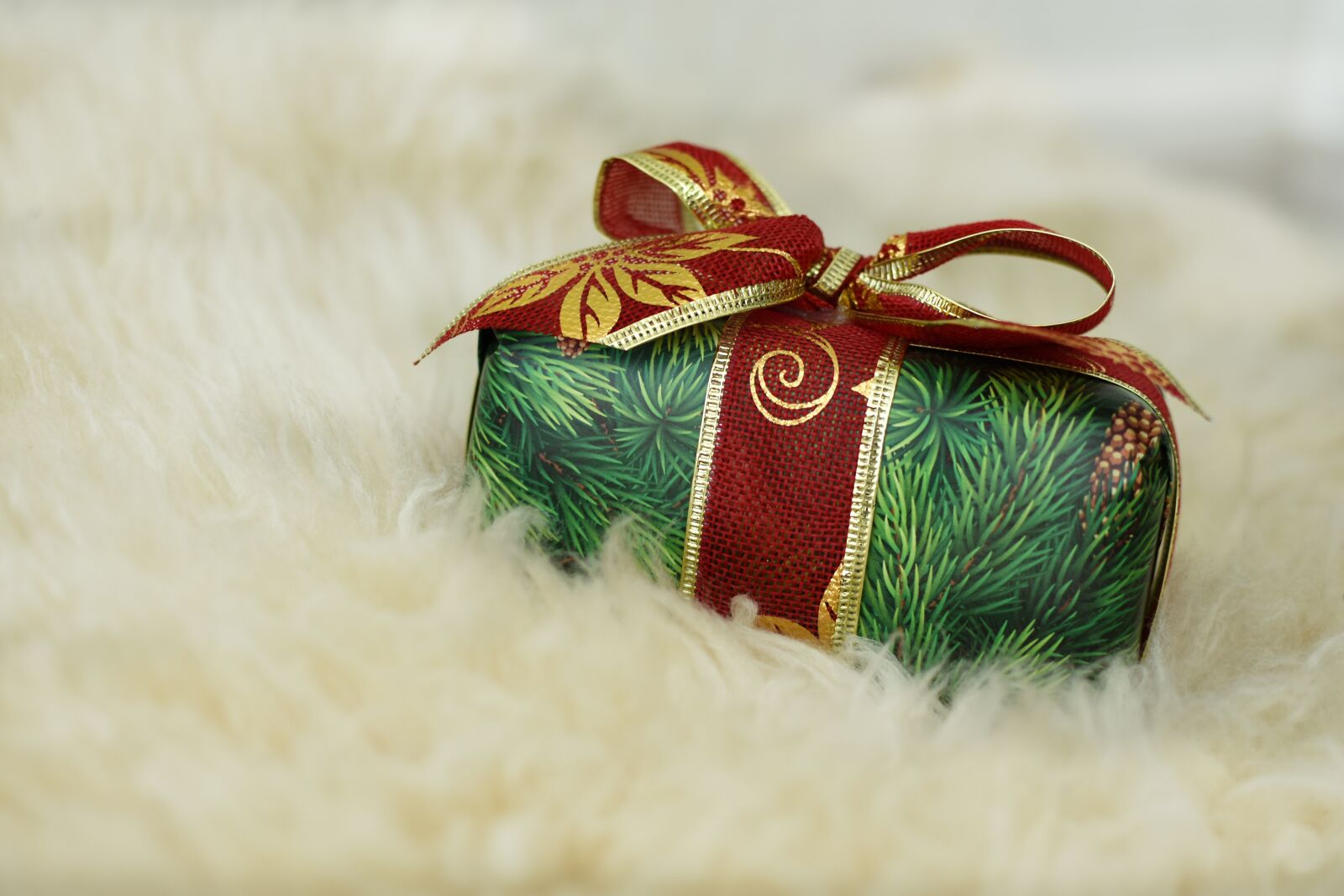 Nikon D3400 sample photo. Toy, bear, christmas photography