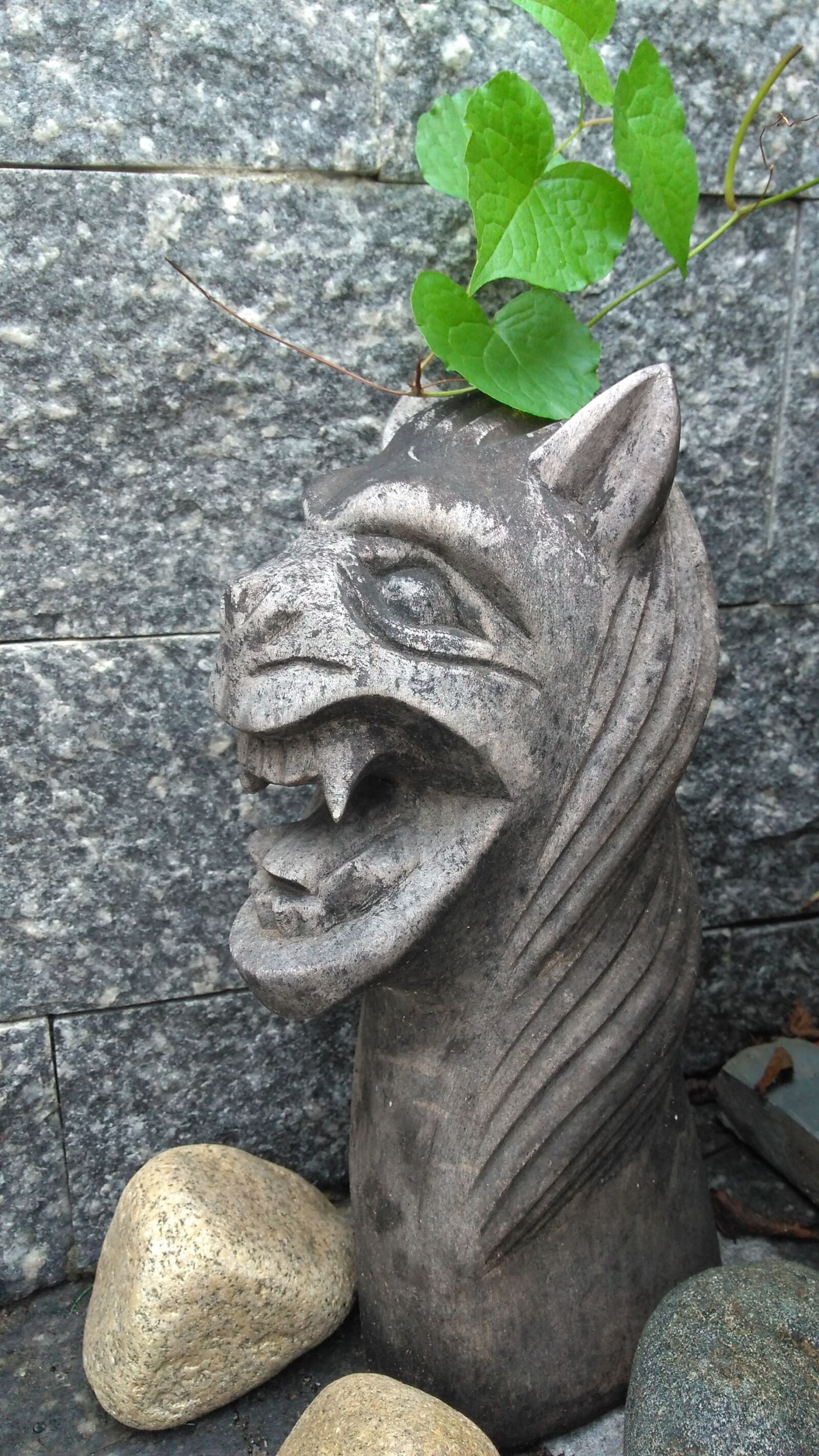 Motorola Moto G Play sample photo. Frown, wall, green photography