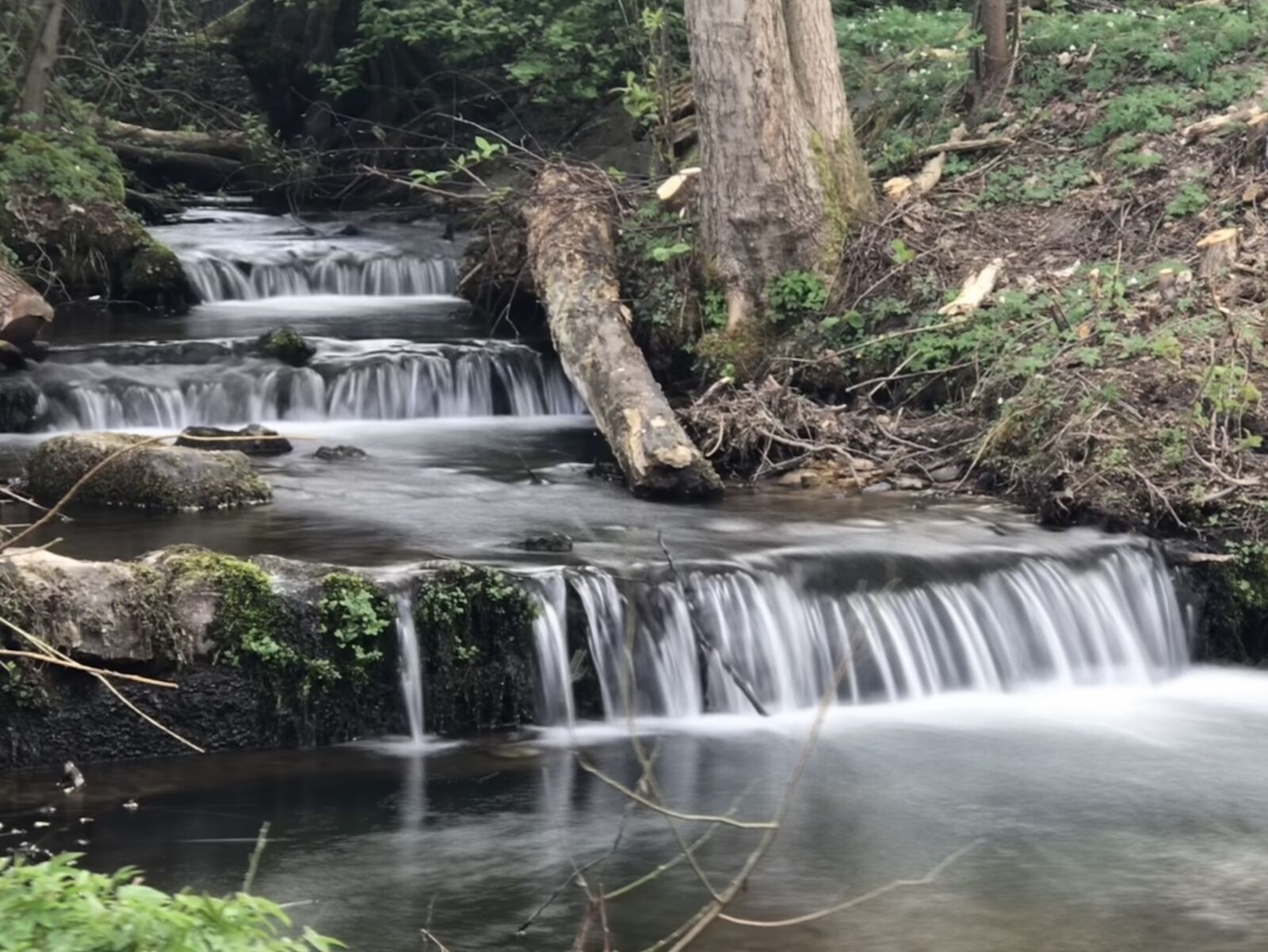 Apple iPhone 7 Plus sample photo. Waterfall, bishop home, kreuzberg photography