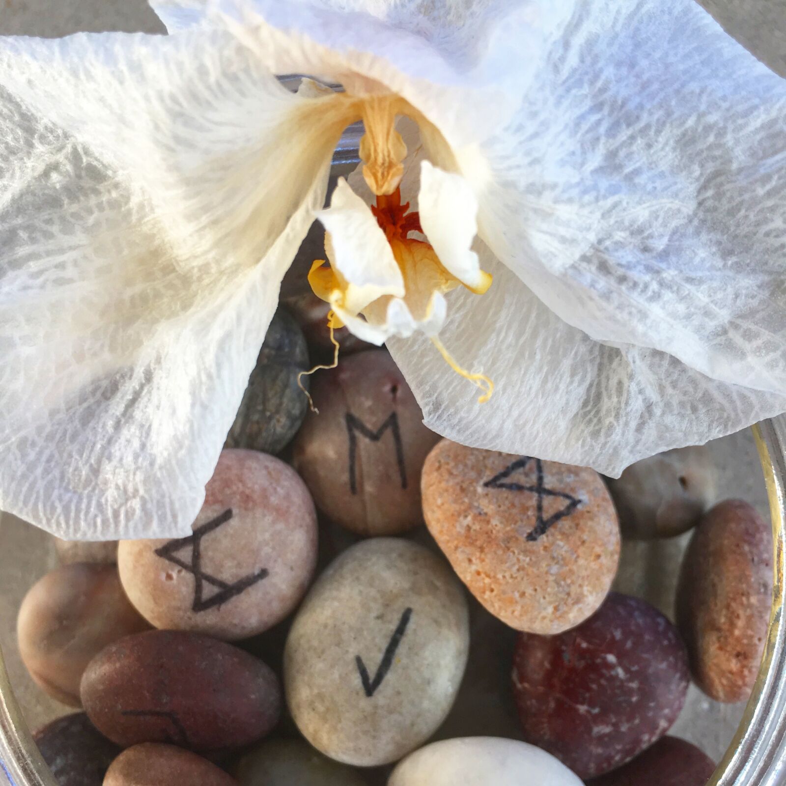 iPhone SE back camera 4.15mm f/2.2 sample photo. Rune stones, stones, magic photography