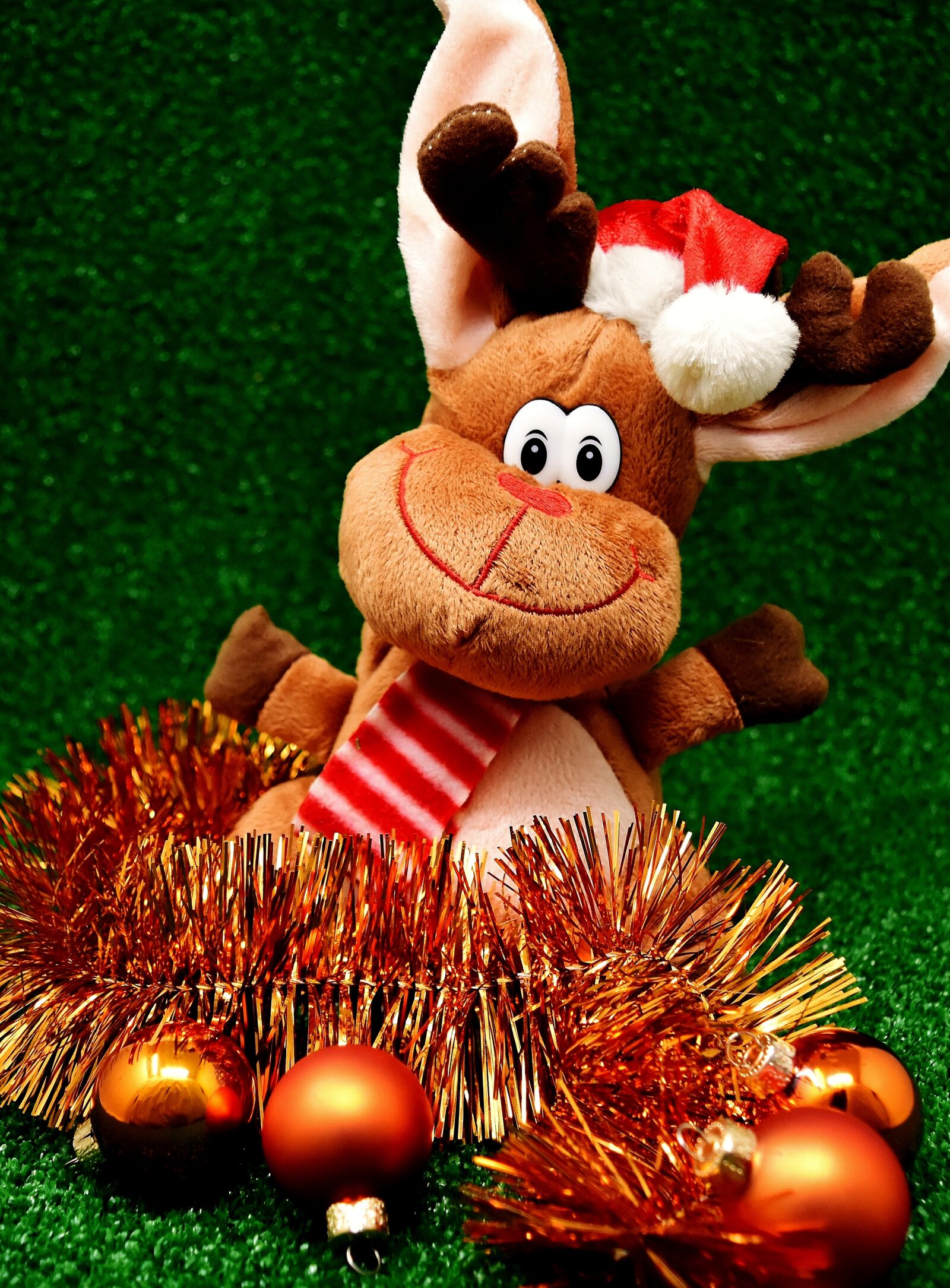 Nikon D7200 sample photo. Moose, christmas, christmas motif photography