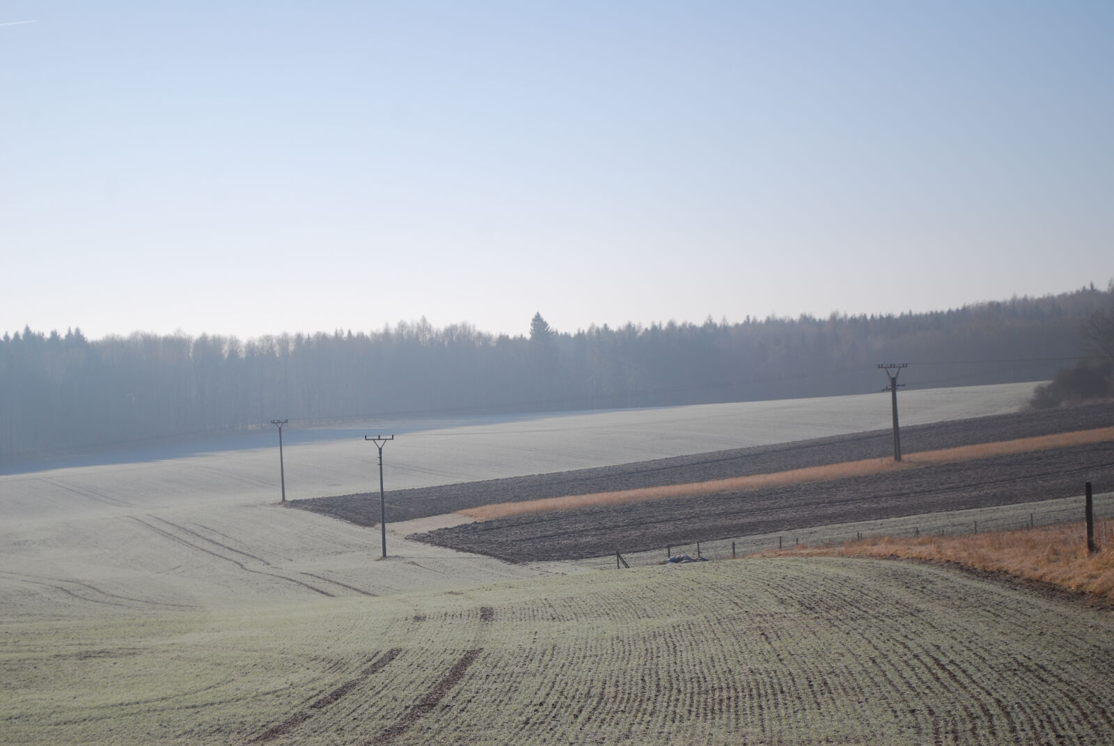 Nikon D60 sample photo. Cold, countryside, fog, freeze photography