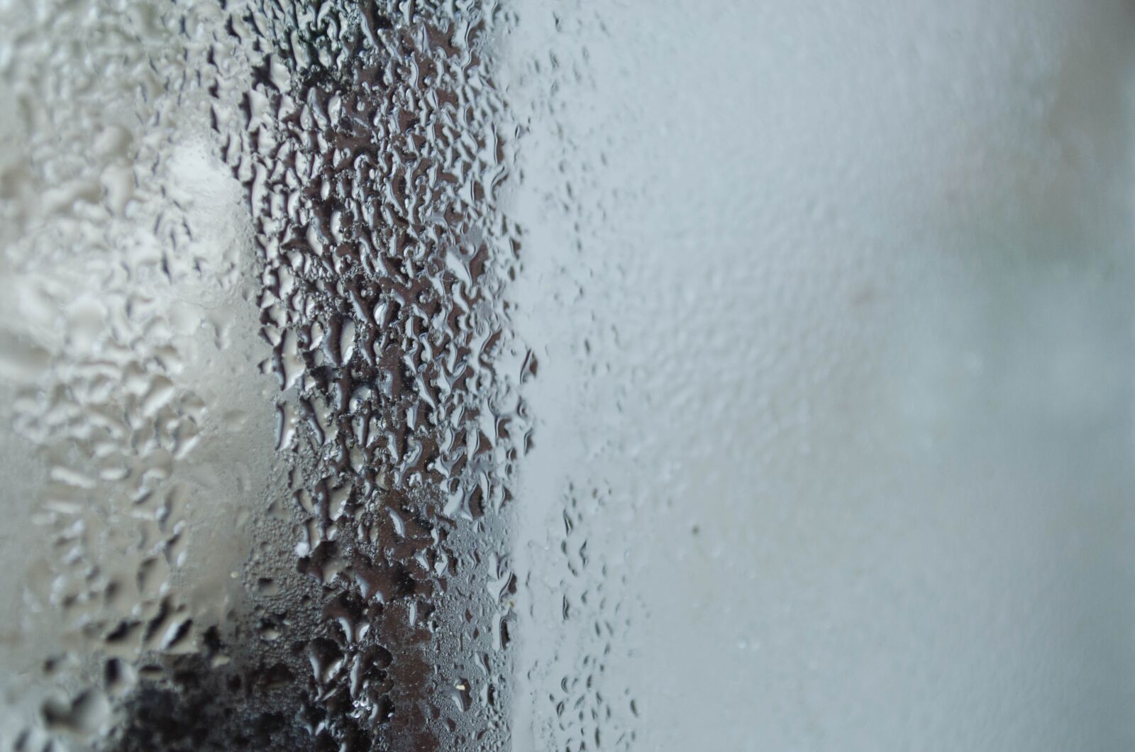 Nikon D5100 sample photo. Drops, pane, frost photography