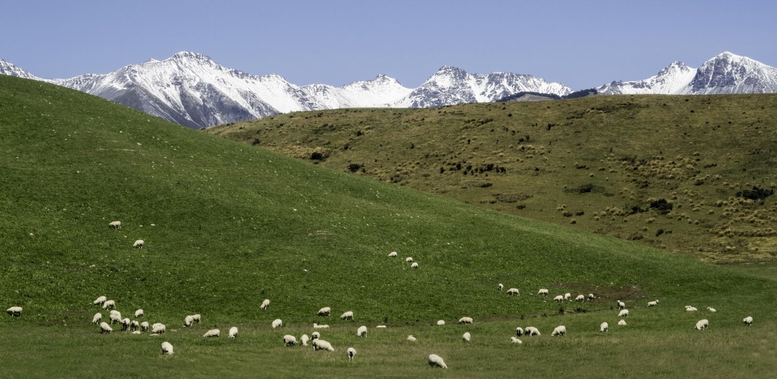 Canon PowerShot G7 X sample photo. South island, new zealand photography