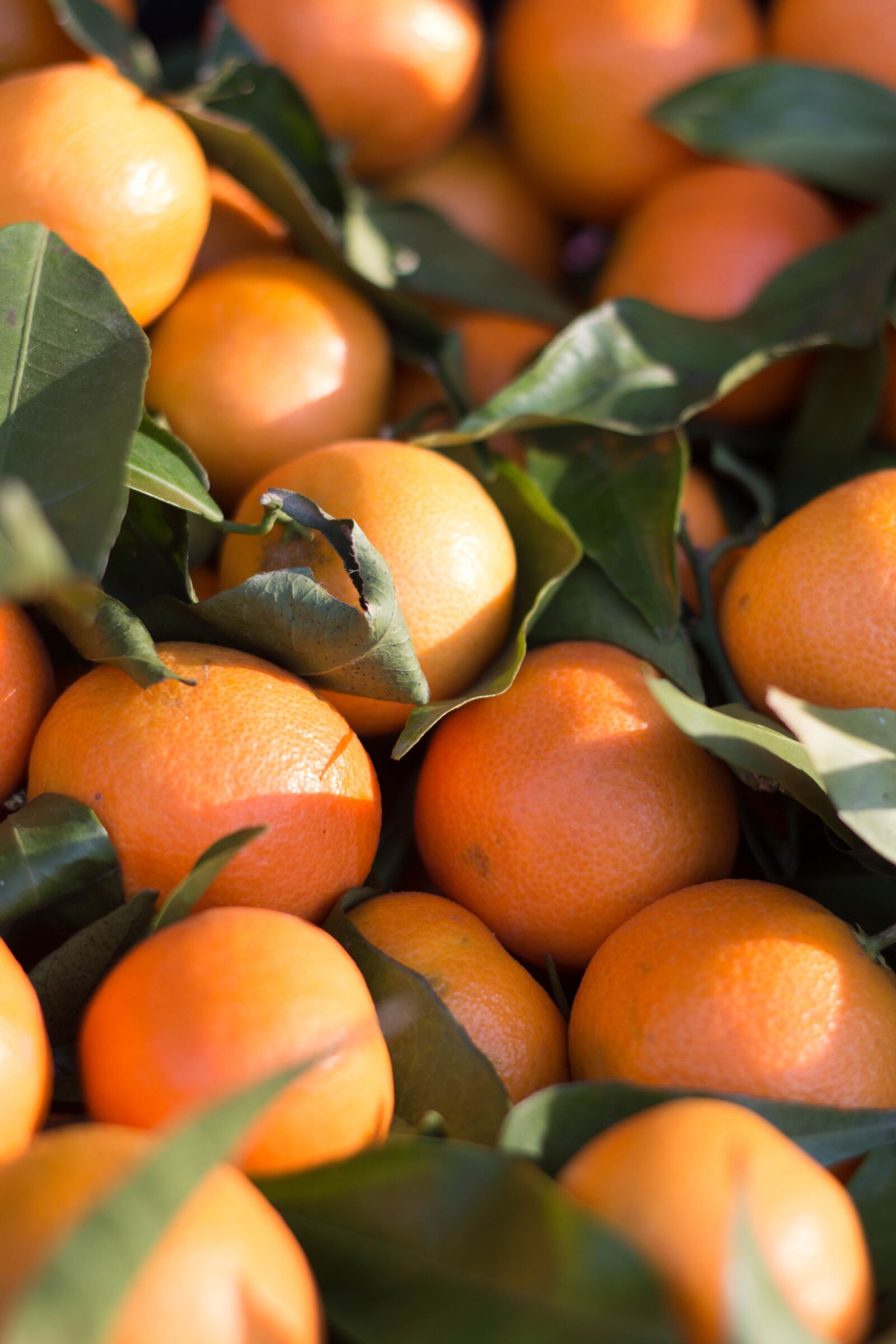 Canon EOS 70D + Canon EF 50mm F1.8 II sample photo. Citrus fruit, mandarin, clementine photography
