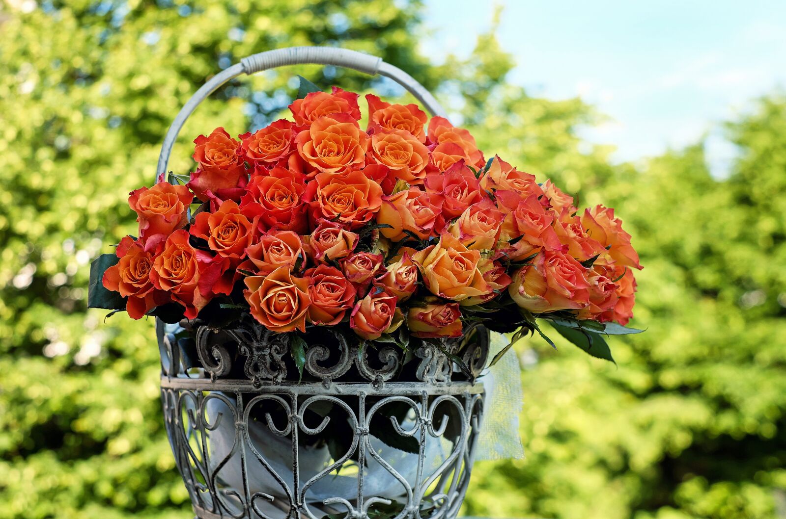 Fujifilm X-T10 + Fujifilm XF 35mm F1.4 R sample photo. Roses, bouquet of roses photography