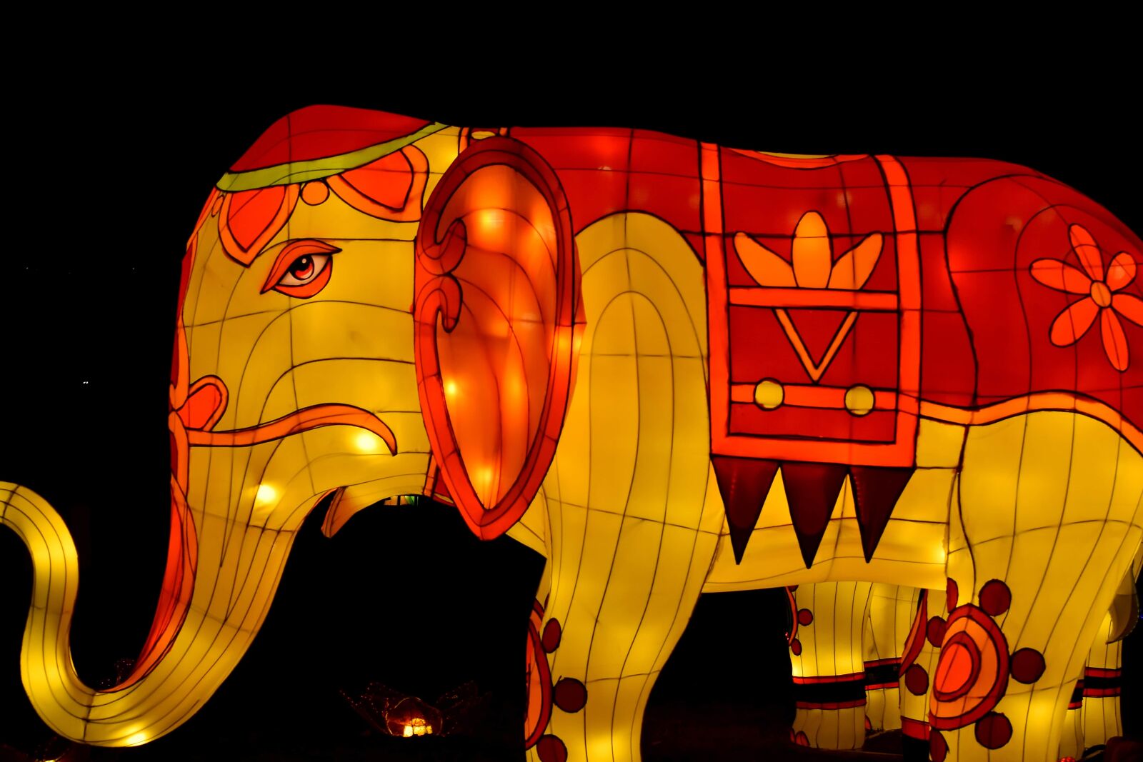 Nikon D5500 sample photo. Artwork, big, china, colorful photography