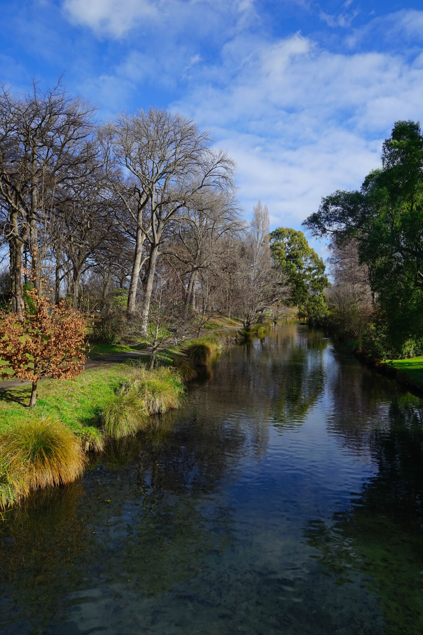 Sony a7 + Sony Vario Tessar T* FE 24-70mm F4 ZA OSS sample photo. Christchurch, avon, new zealand photography