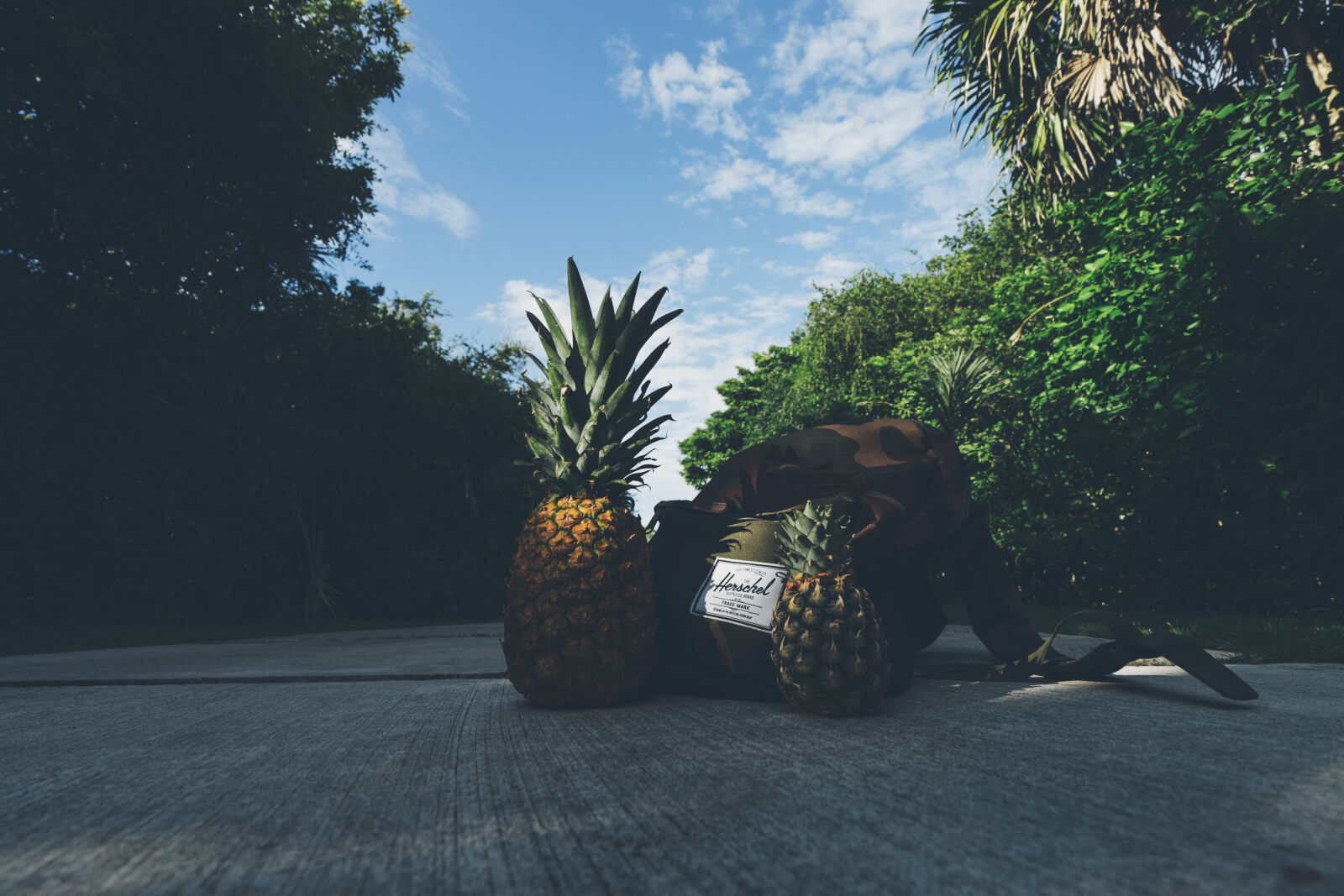 Sony a7 II + Sony Vario-Tessar T* FE 16-35mm F4 ZA OSS sample photo. Pineapples, beside, backpack photography