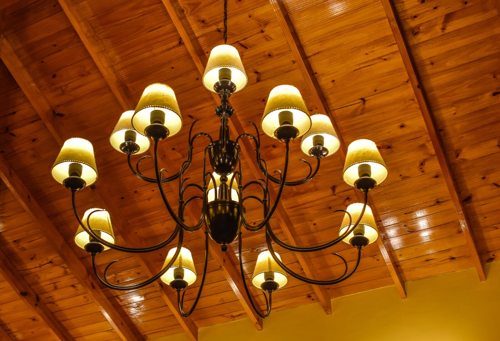Nikon D5500 sample photo. Lighting, lights, decoration photography