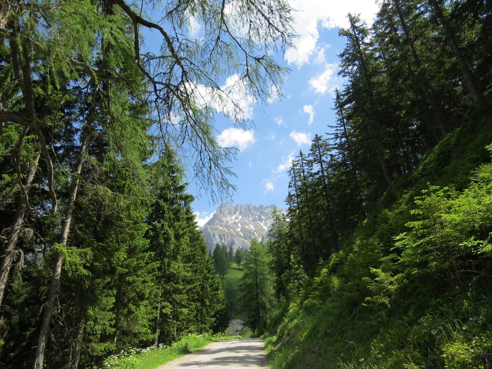 Canon PowerShot SX50 HS sample photo. Dachstein, austria, forest photography