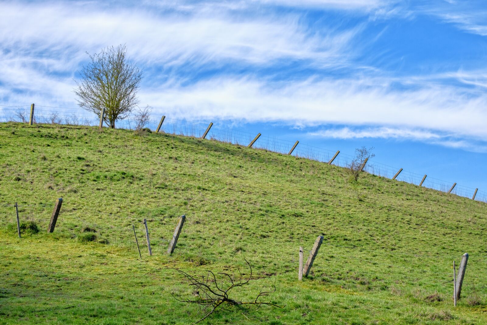 Fujifilm X-T2 + Fujifilm XF 55-200mm F3.5-4.8 R LM OIS sample photo. Meadow, grass, pasture photography