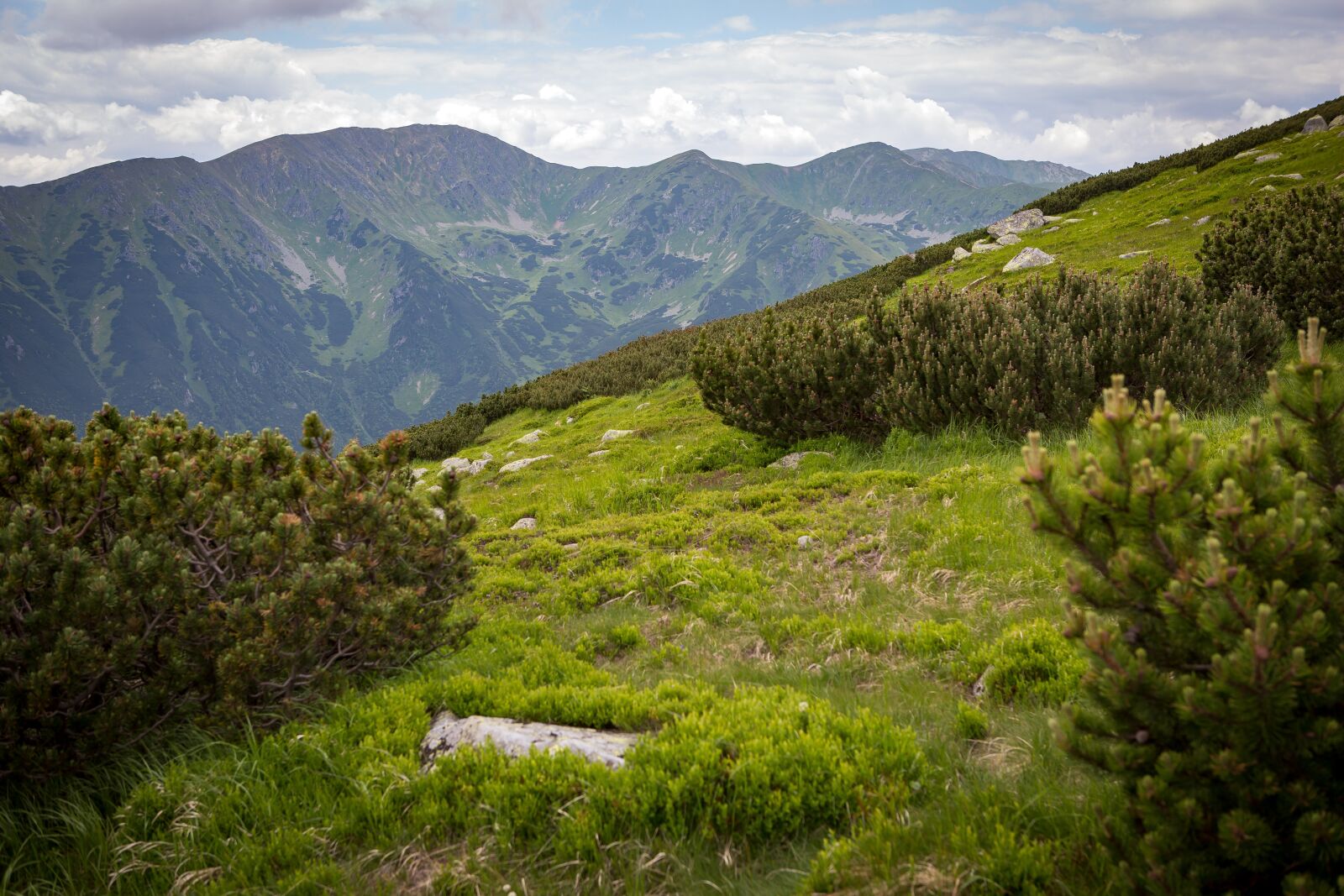 Canon EF 24-70mm F2.8L USM sample photo. Nature, mountains, landscape photography