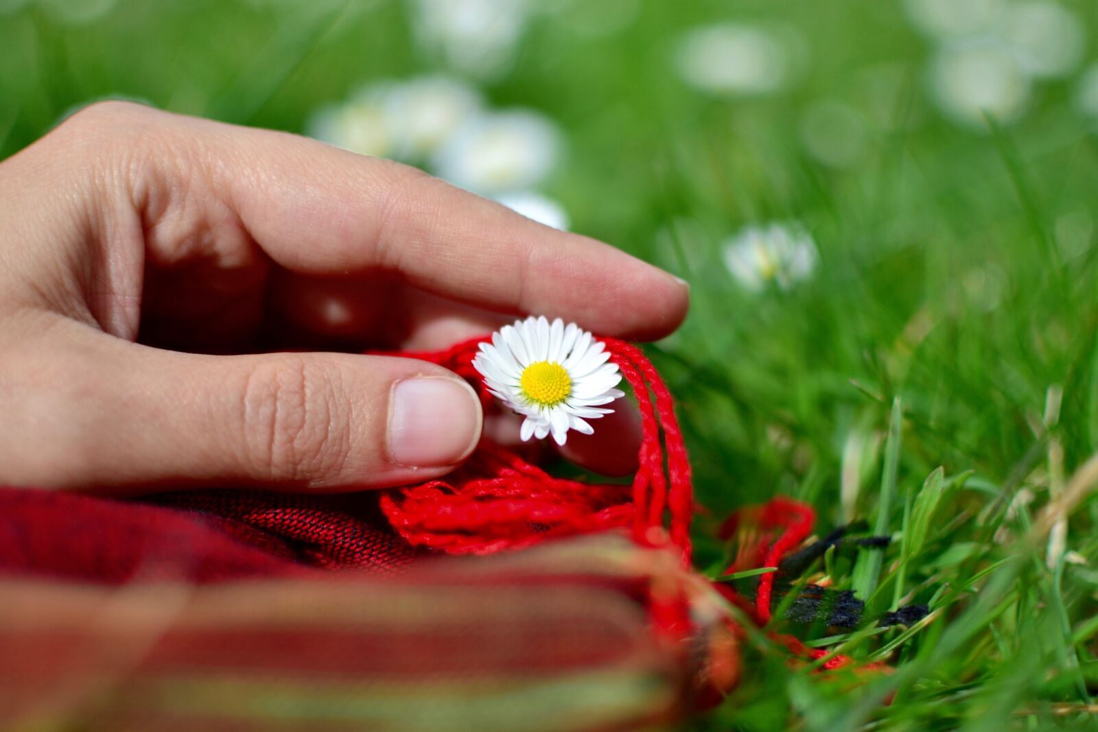 Nikon D3100 sample photo. Flowers, hand, fingers photography